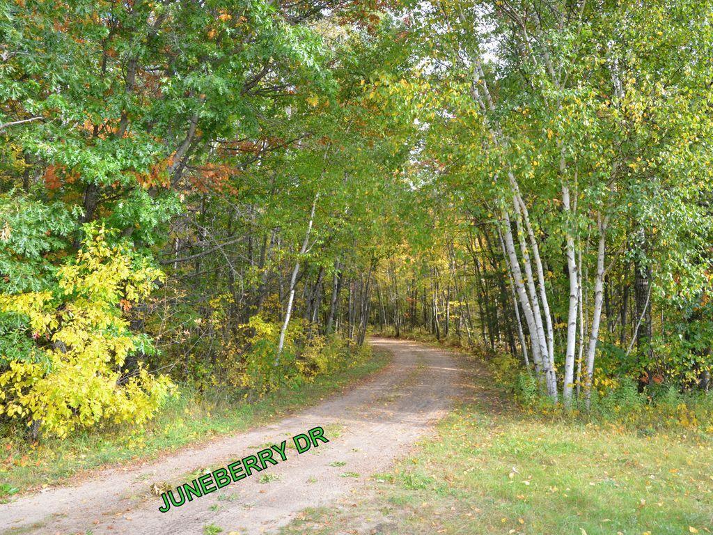 land for sale at TBD Juneberry Drive in Park Rapids, MN (photo 9 of 18)