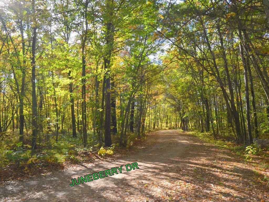 land for sale at TBD Juneberry Drive in Park Rapids, MN (photo 10 of 18)