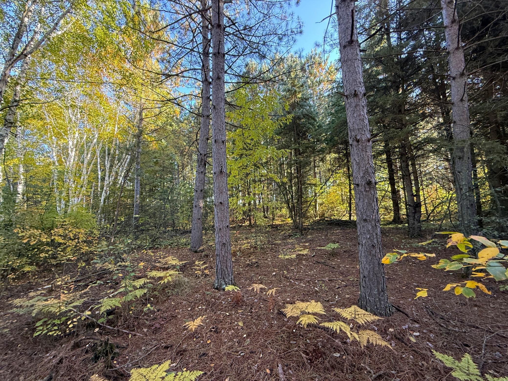 land for sale at XXX 540th Lane in Palisade, MN (photo 12 of 55)