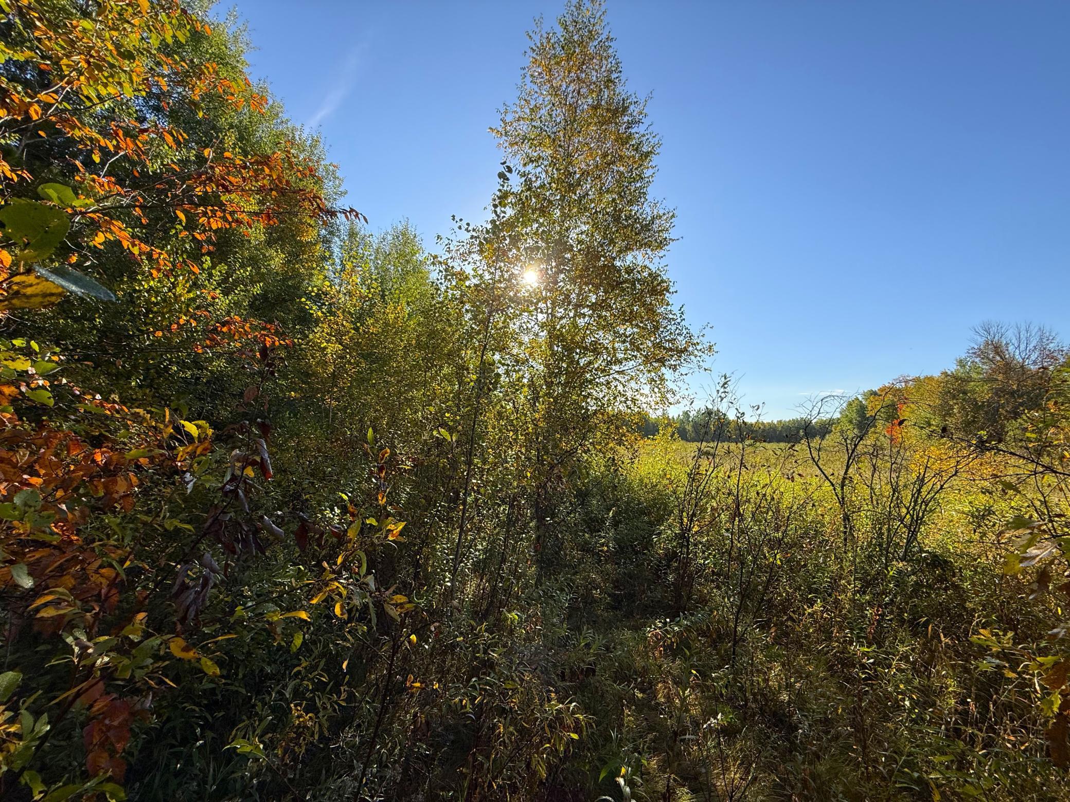land for sale at XXX 540th Lane in Palisade, MN (photo 15 of 55)