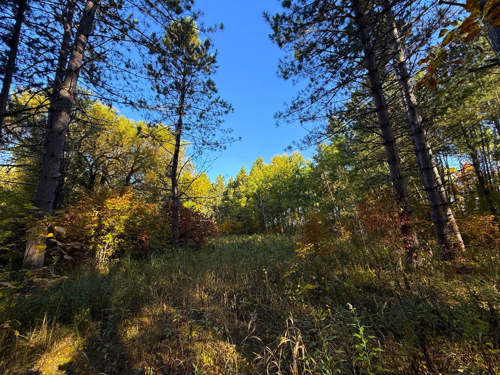 land for sale at XXX 540th Lane in Palisade, MN (photo 16 of 55)