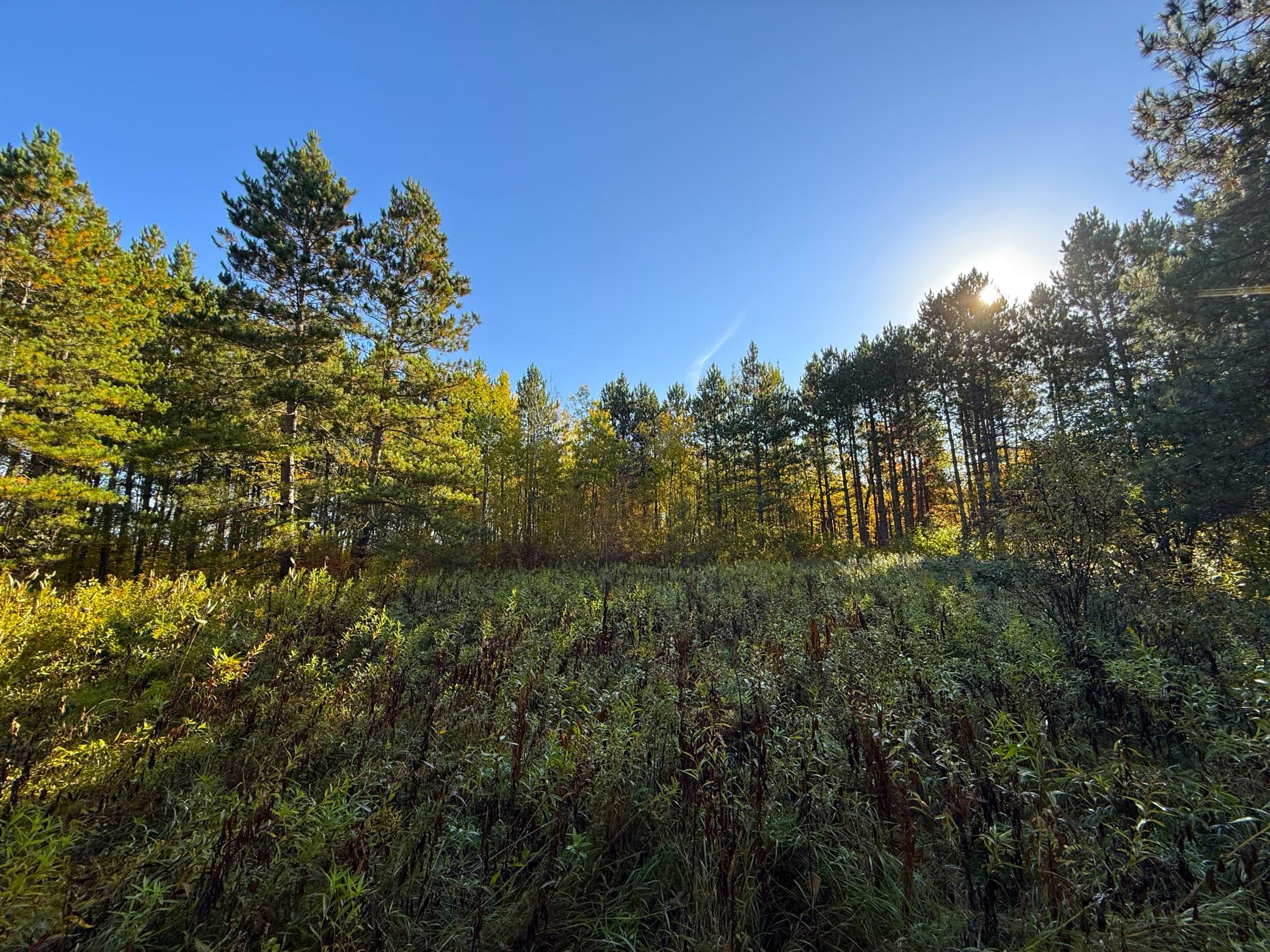 land for sale at XXX 540th Lane in Palisade, MN (photo 17 of 55)