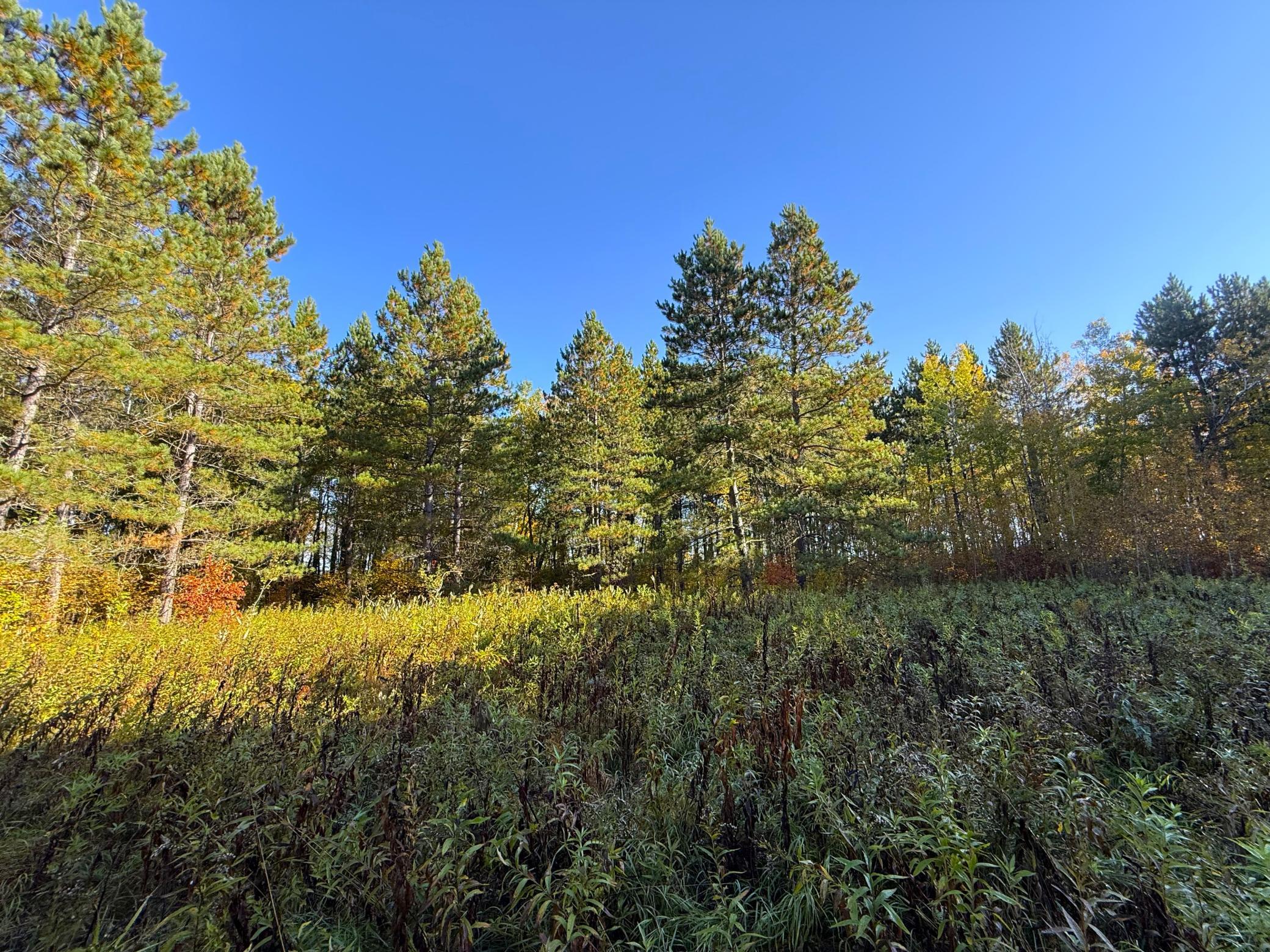 land for sale at XXX 540th Lane in Palisade, MN (photo 18 of 55)