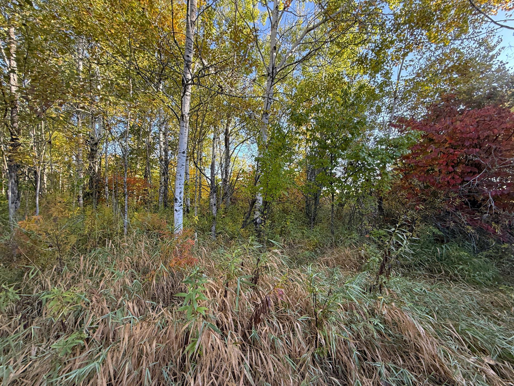 land for sale at XXX 540th Lane in Palisade, MN (photo 20 of 55)