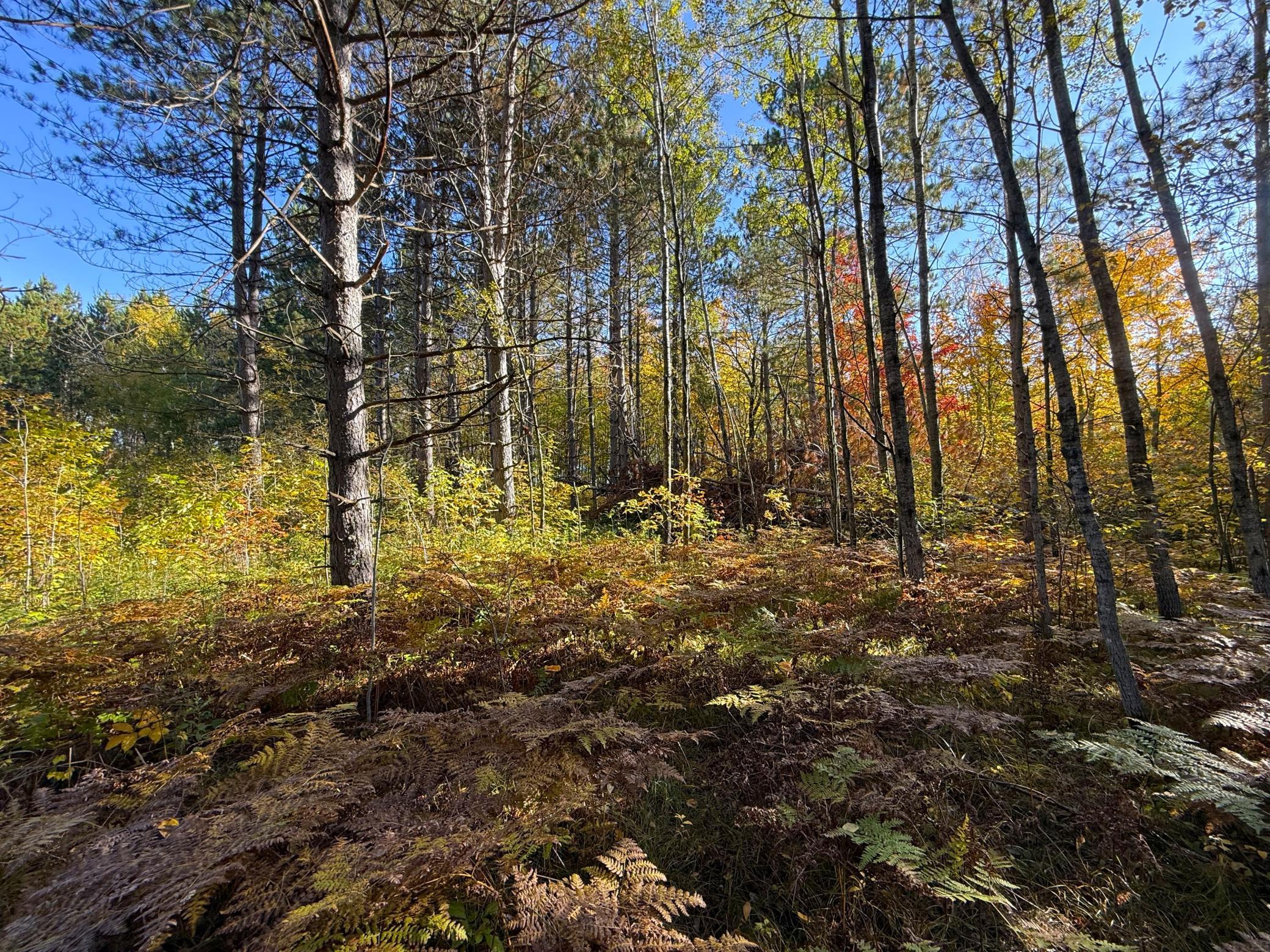 land for sale at XXX 540th Lane in Palisade, MN (photo 21 of 55)
