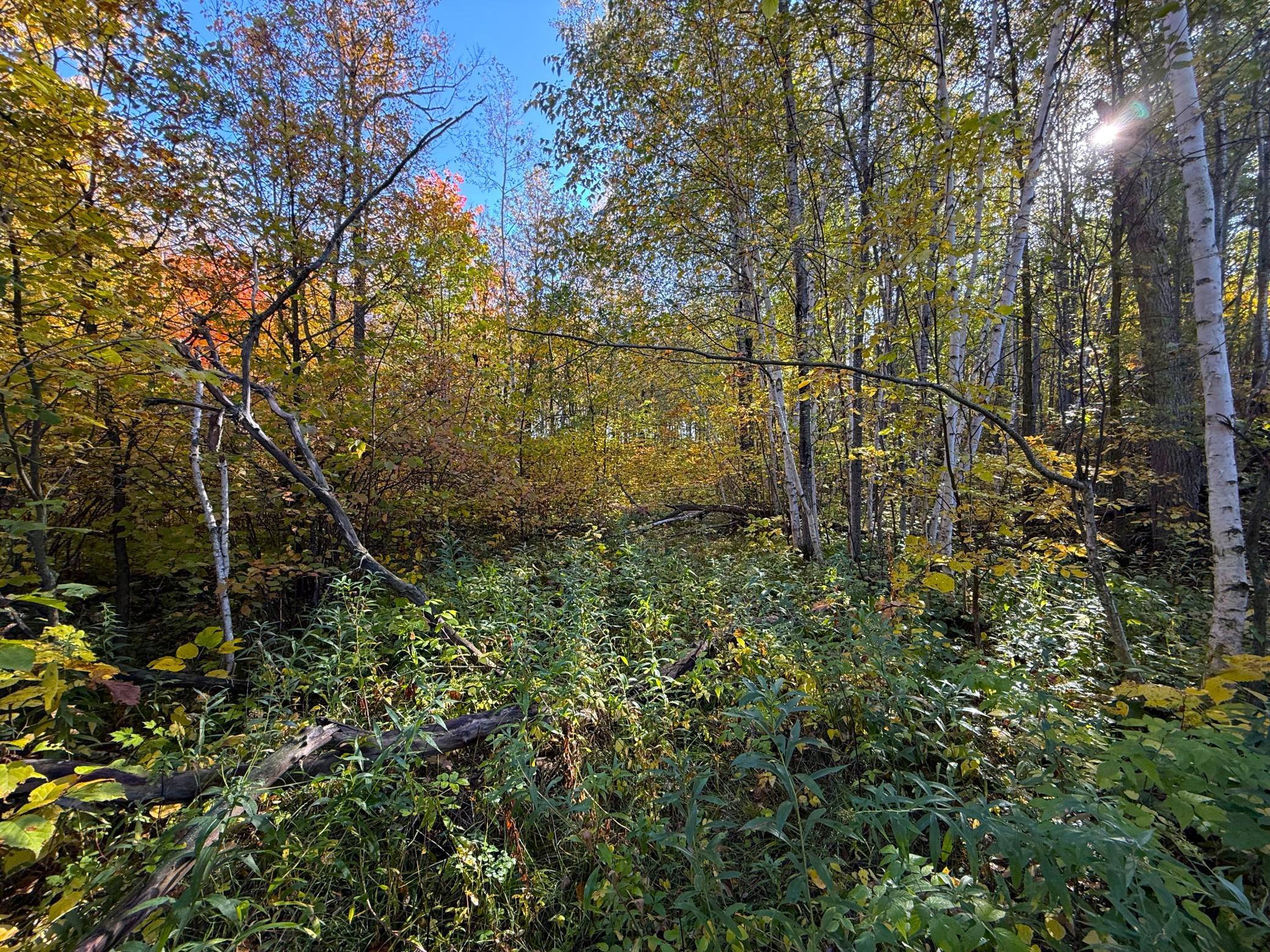 land for sale at XXX 540th Lane in Palisade, MN (photo 22 of 55)