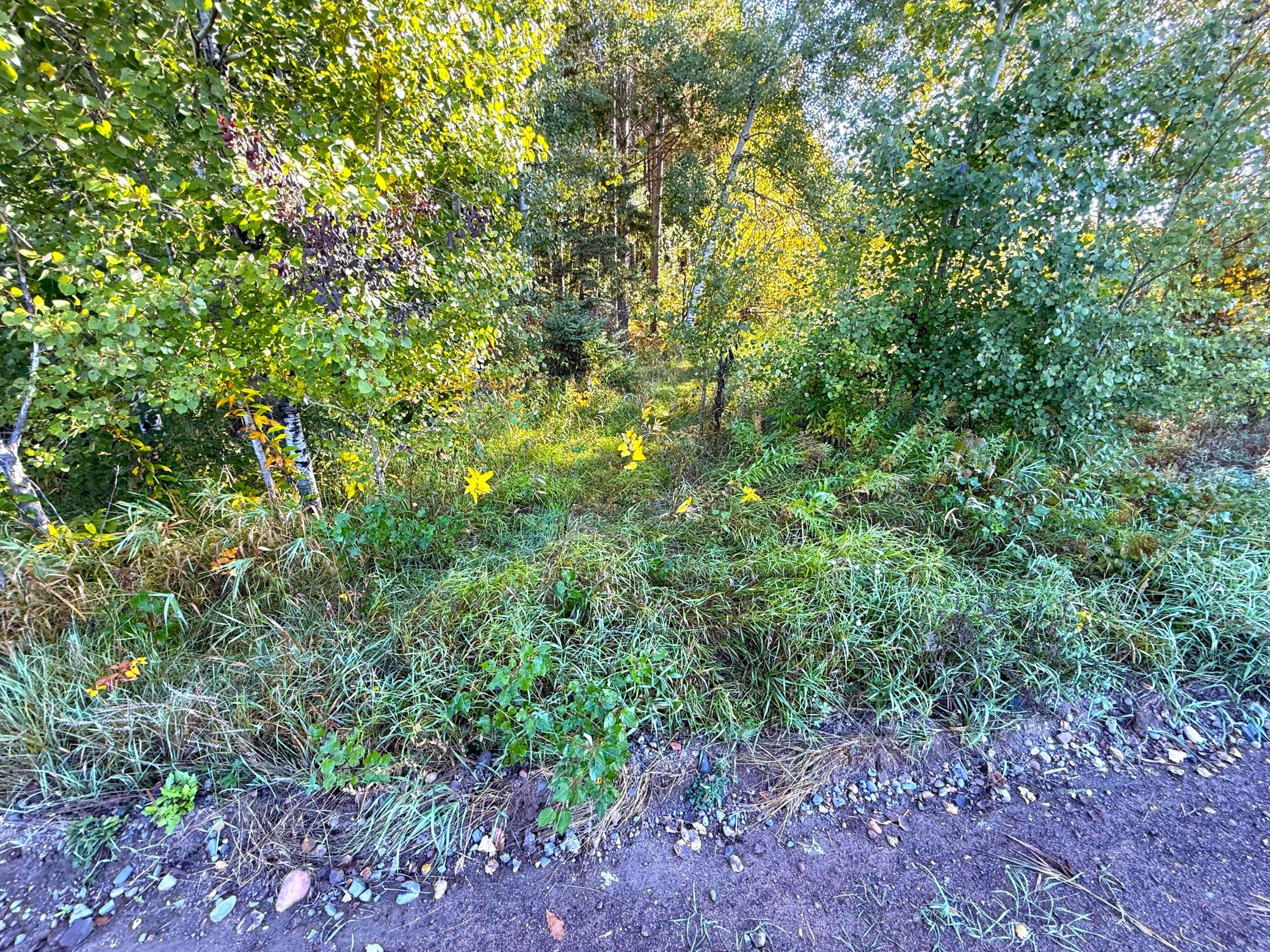 land for sale at XXX 540th Lane in Palisade, MN (photo 25 of 55)