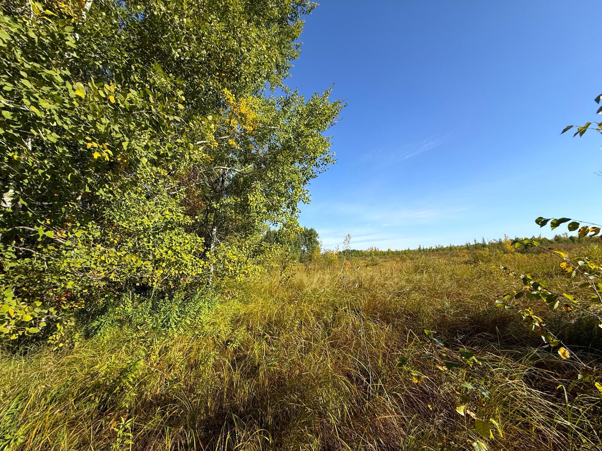land for sale at XXX 540th Lane in Palisade, MN (photo 26 of 55)
