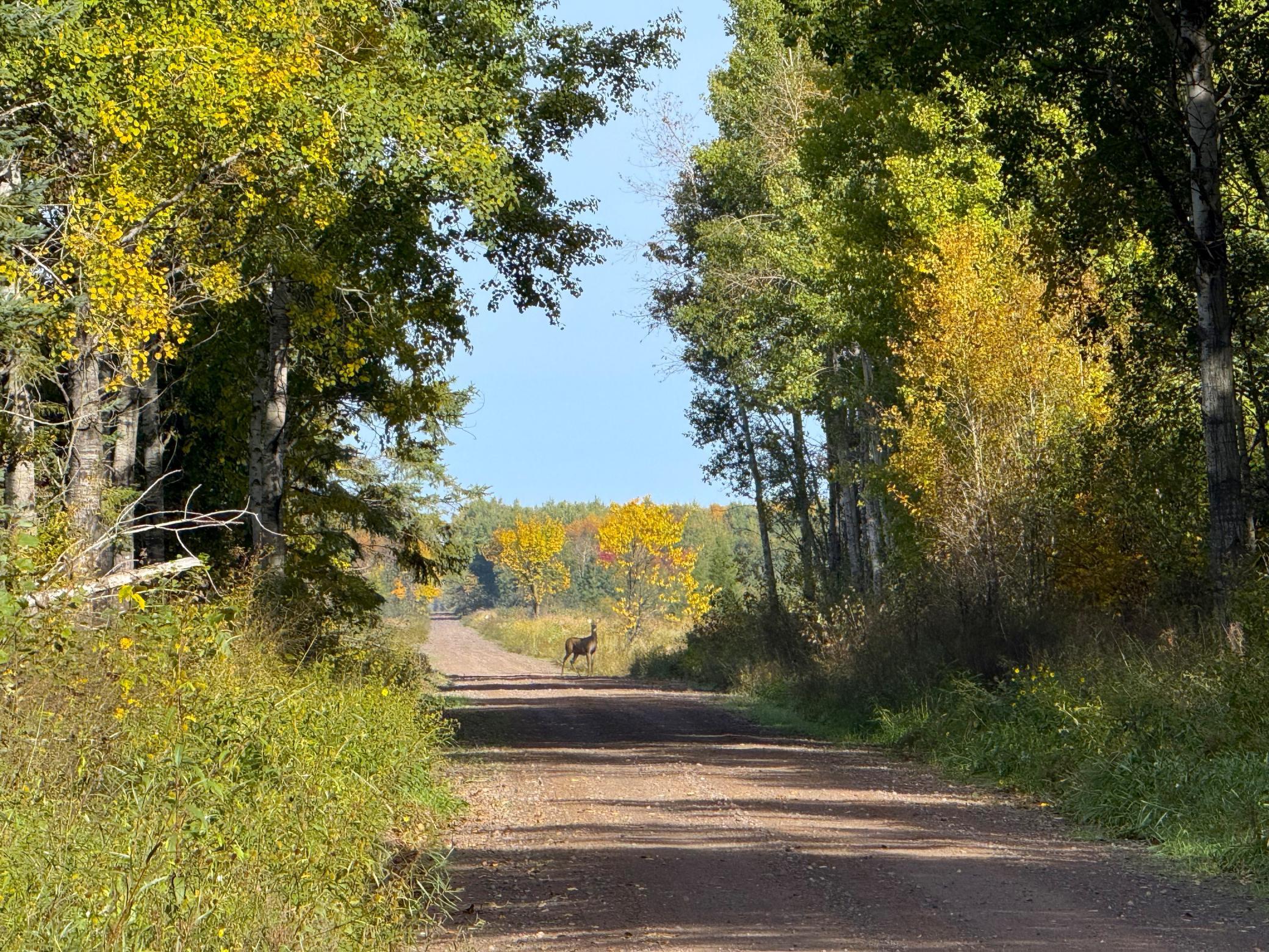 land for sale at XXX 540th Lane in Palisade, MN (photo 33 of 55)