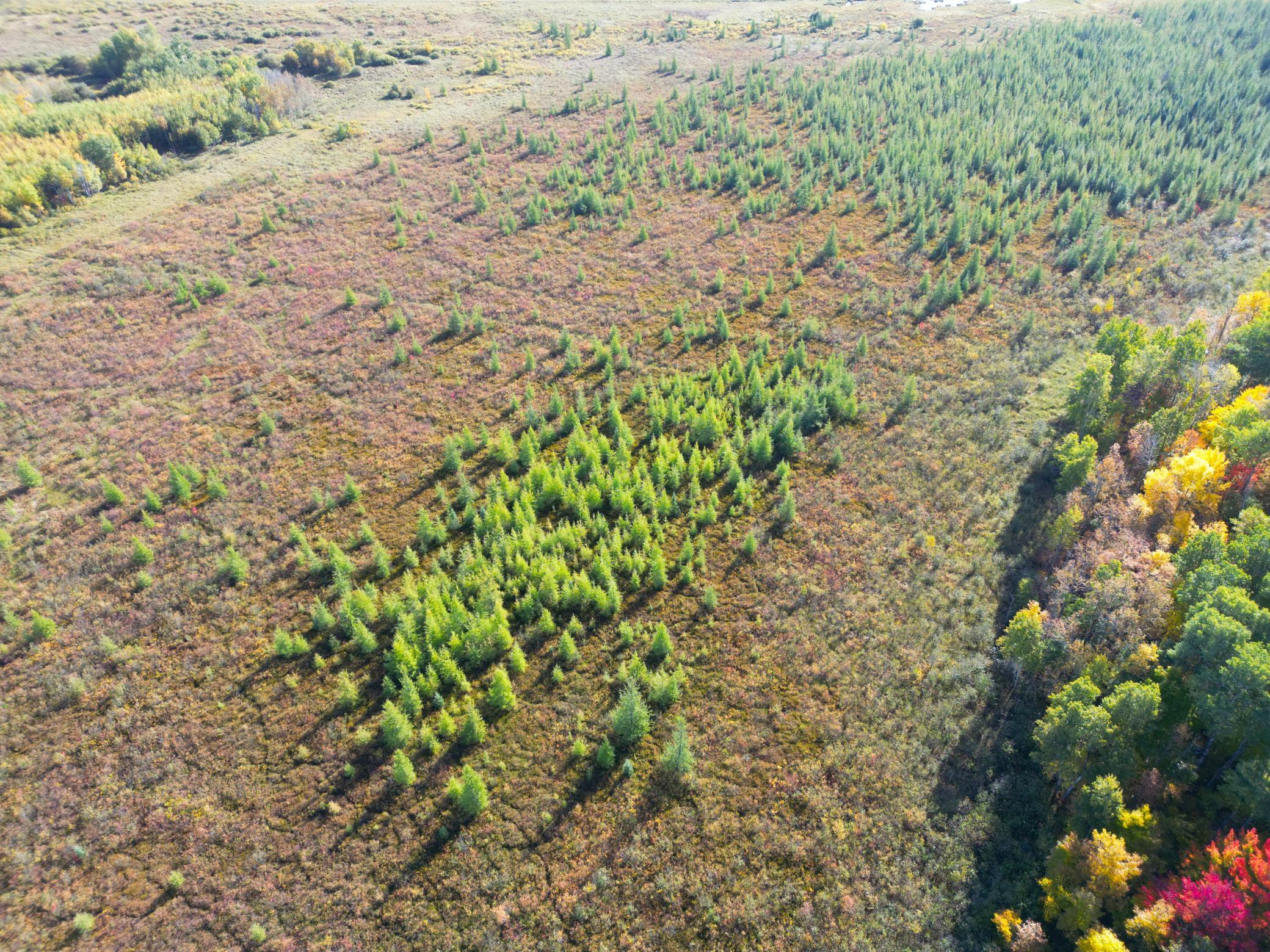 land for sale at XXX 540th Lane in Palisade, MN (photo 34 of 55)