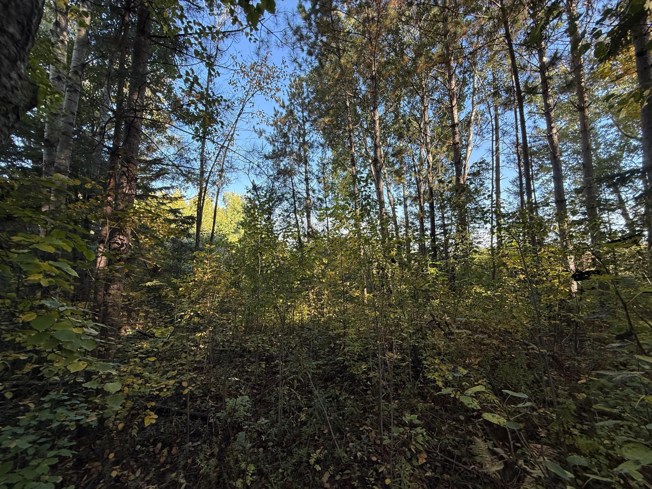 land for sale at XXX 540th Lane in Palisade, MN (photo 35 of 55)