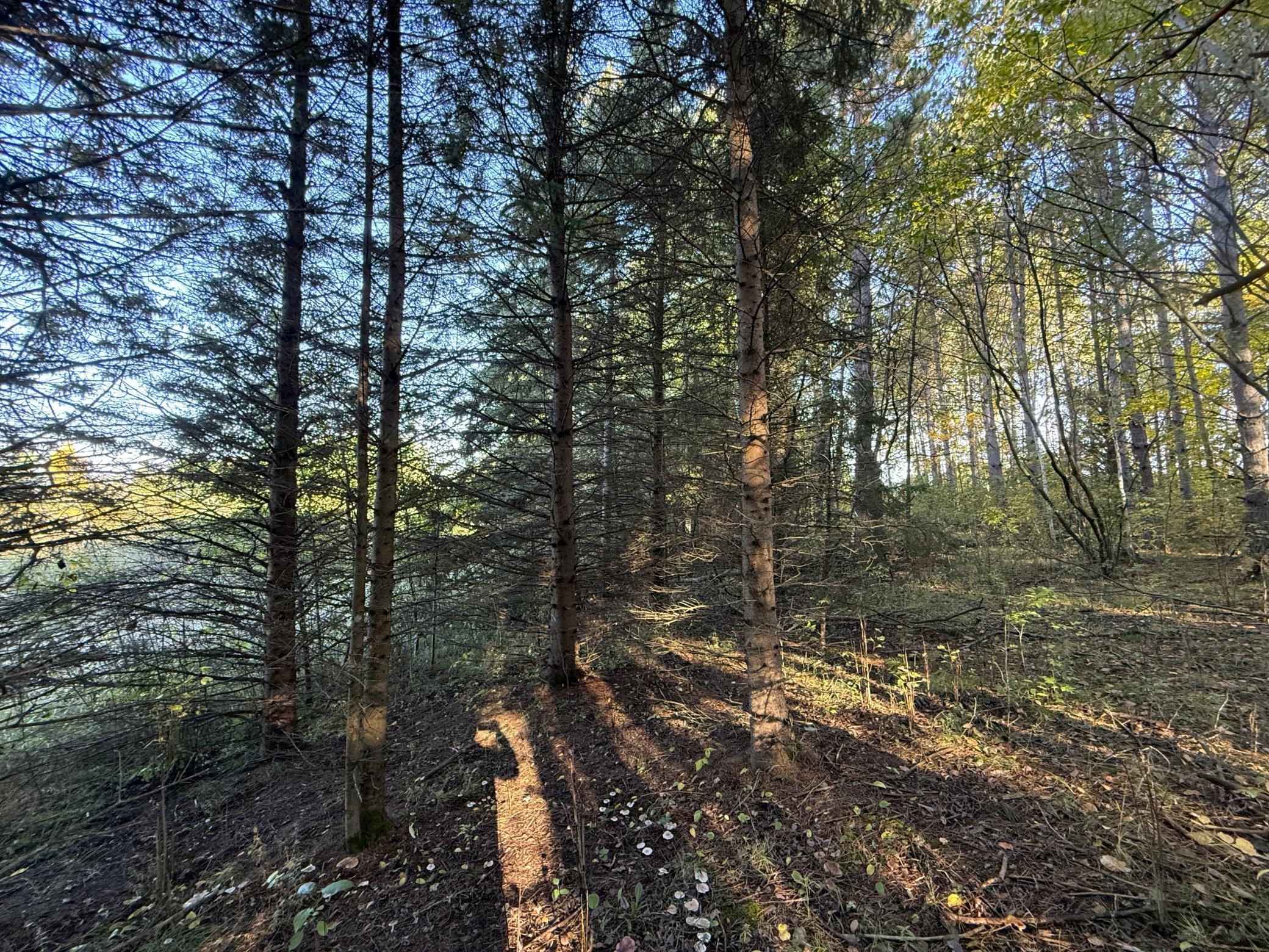 land for sale at XXX 540th Lane in Palisade, MN (photo 37 of 55)