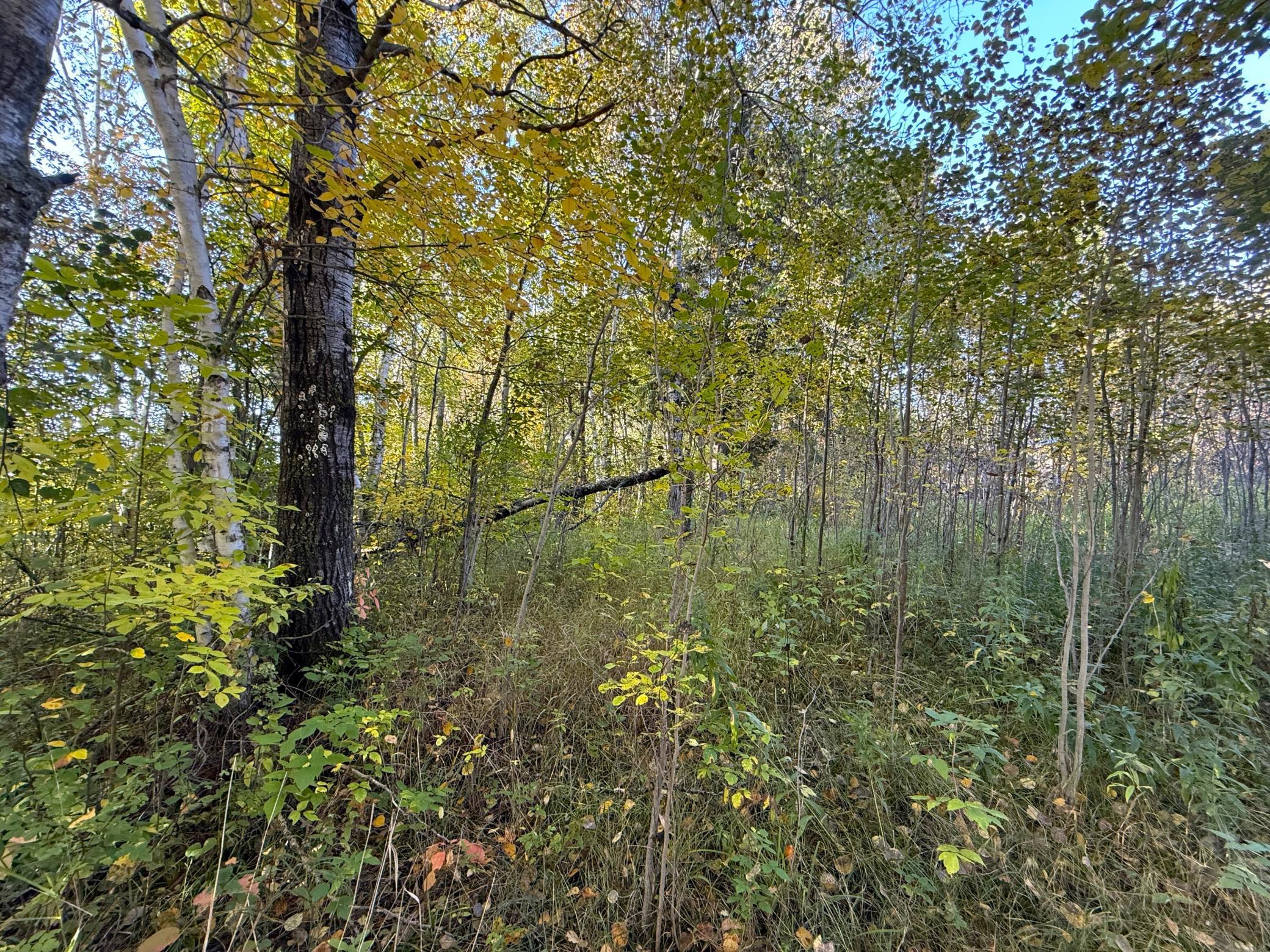 land for sale at XXX 540th Lane in Palisade, MN (photo 39 of 55)