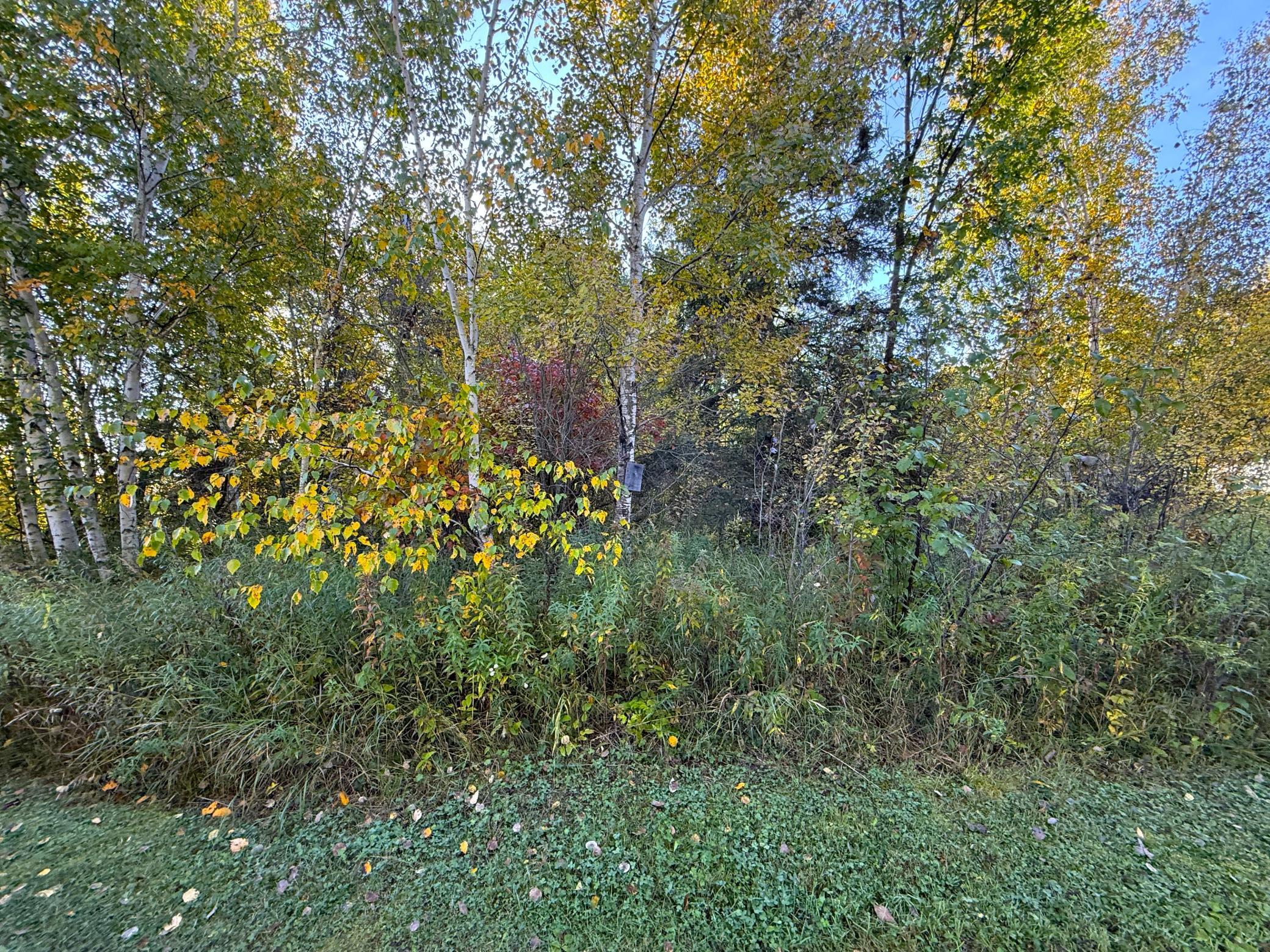 land for sale at XXX 540th Lane in Palisade, MN (photo 40 of 55)