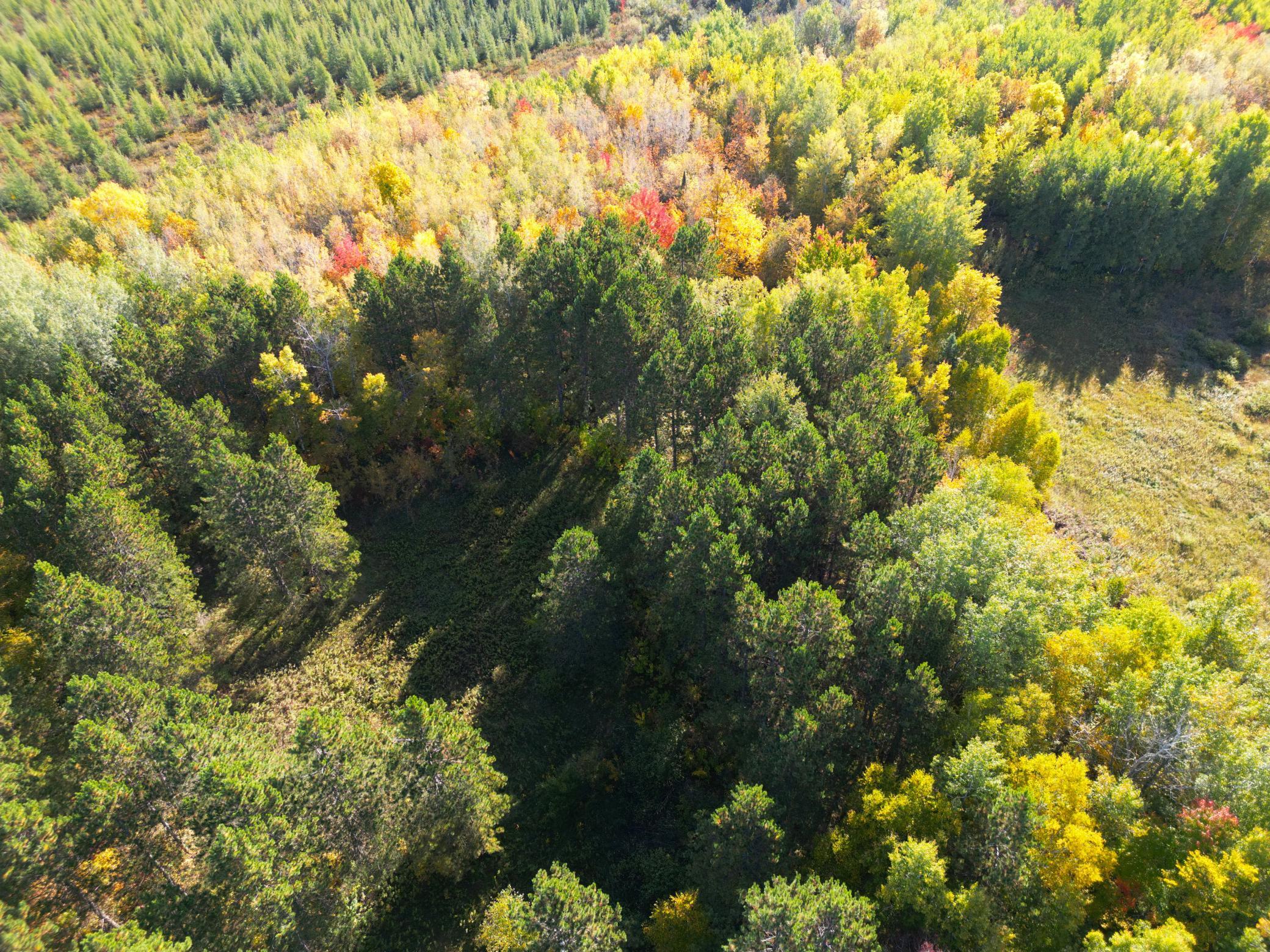 land for sale at XXX 540th Lane in Palisade, MN (photo 44 of 55)