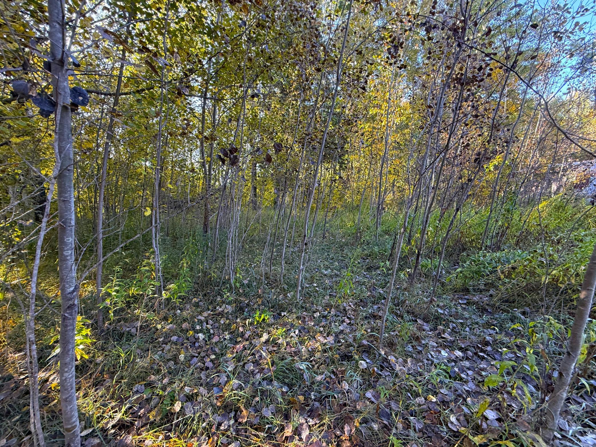 land for sale at XXX 540th Lane in Palisade, MN (photo 47 of 55)