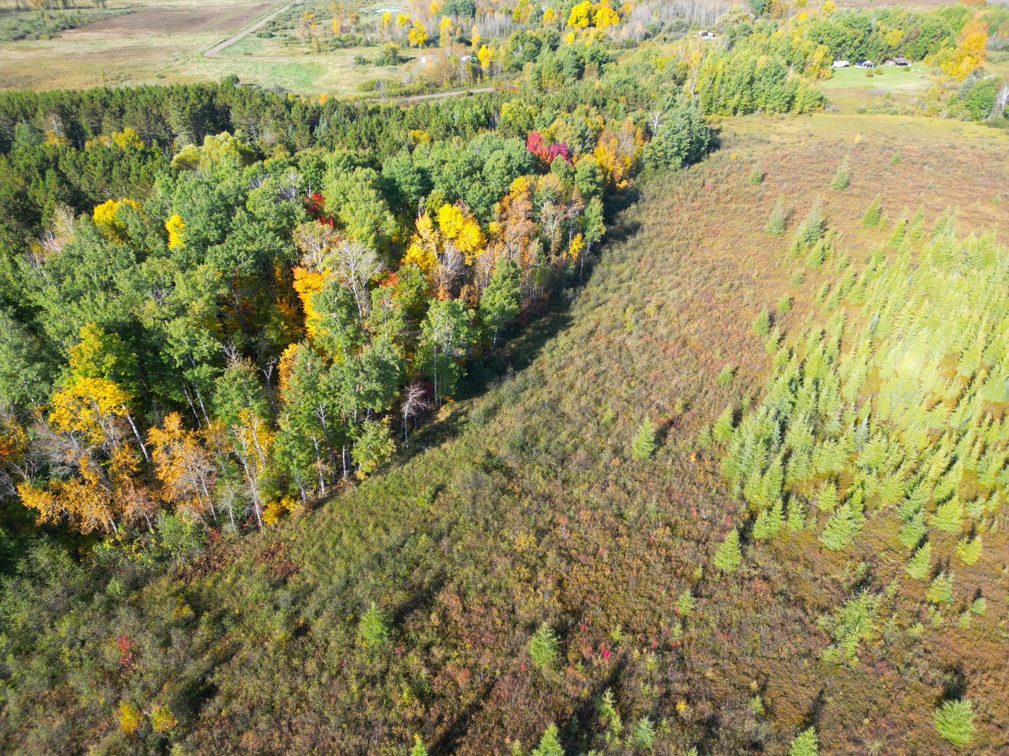 land for sale at XXX 540th Lane in Palisade, MN (photo 48 of 55)