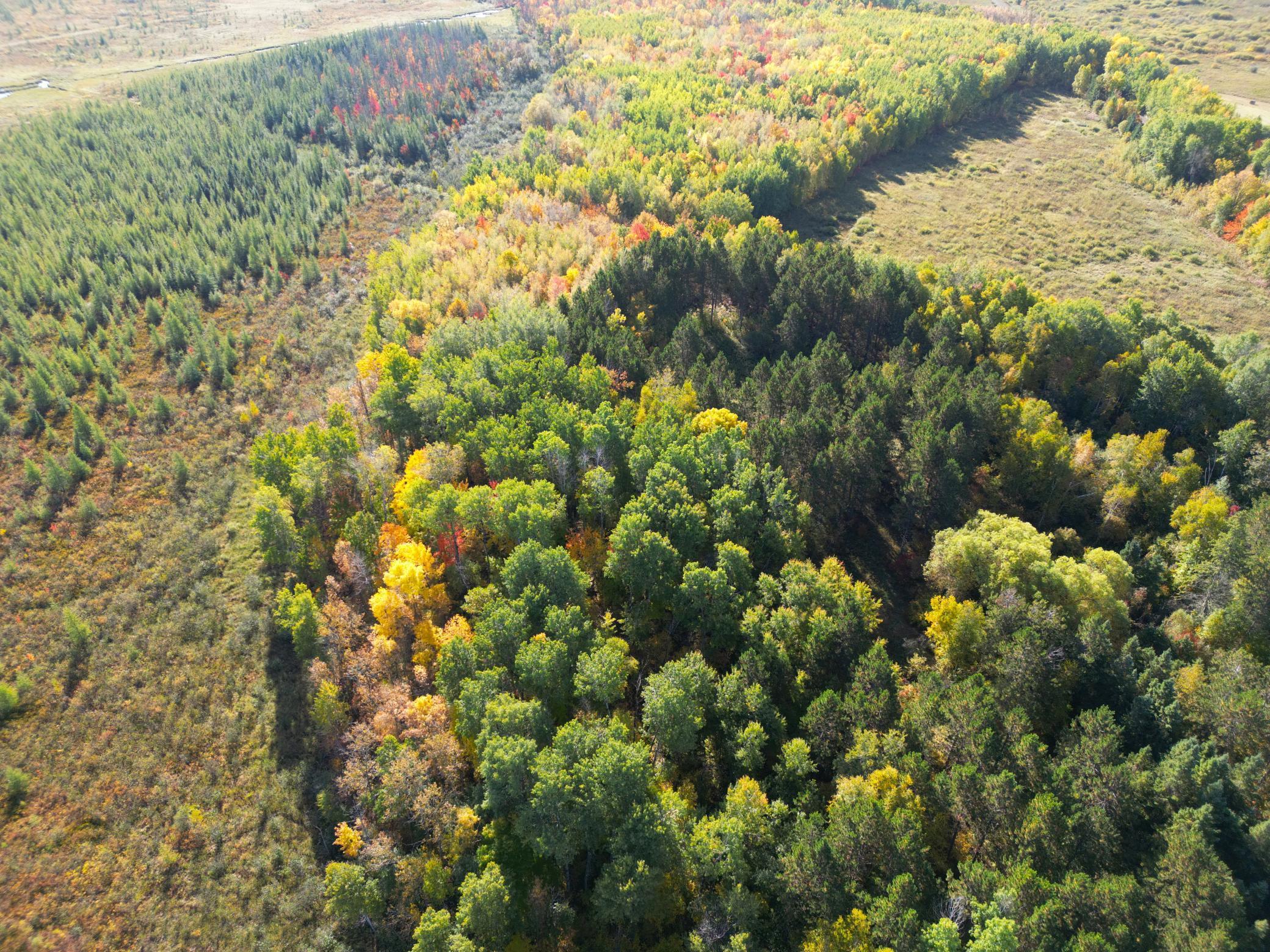 land for sale at XXX 540th Lane in Palisade, MN (photo 49 of 55)