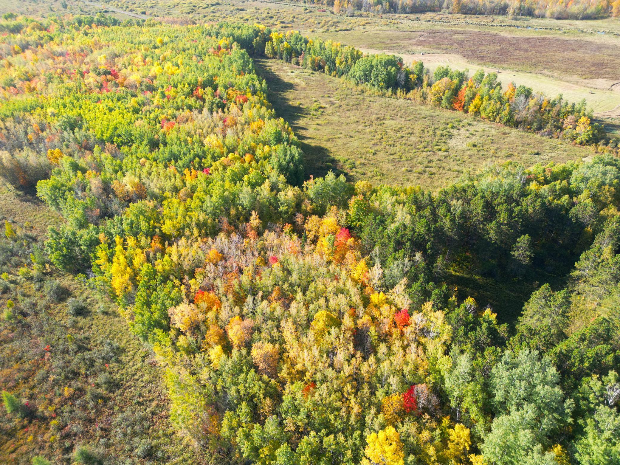 land for sale at XXX 540th Lane in Palisade, MN (photo 50 of 55)