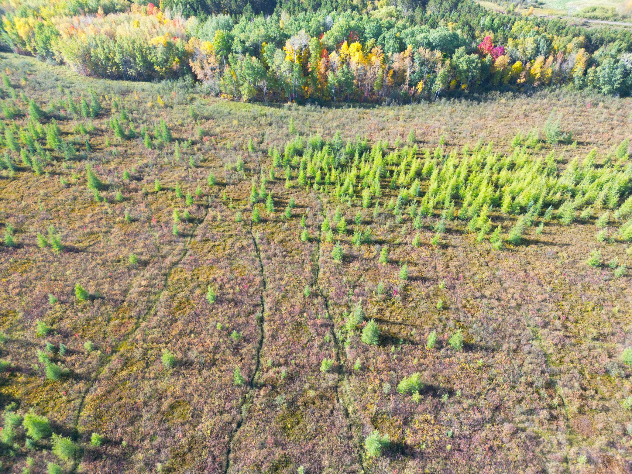 land for sale at XXX 540th Lane in Palisade, MN (photo 51 of 55)