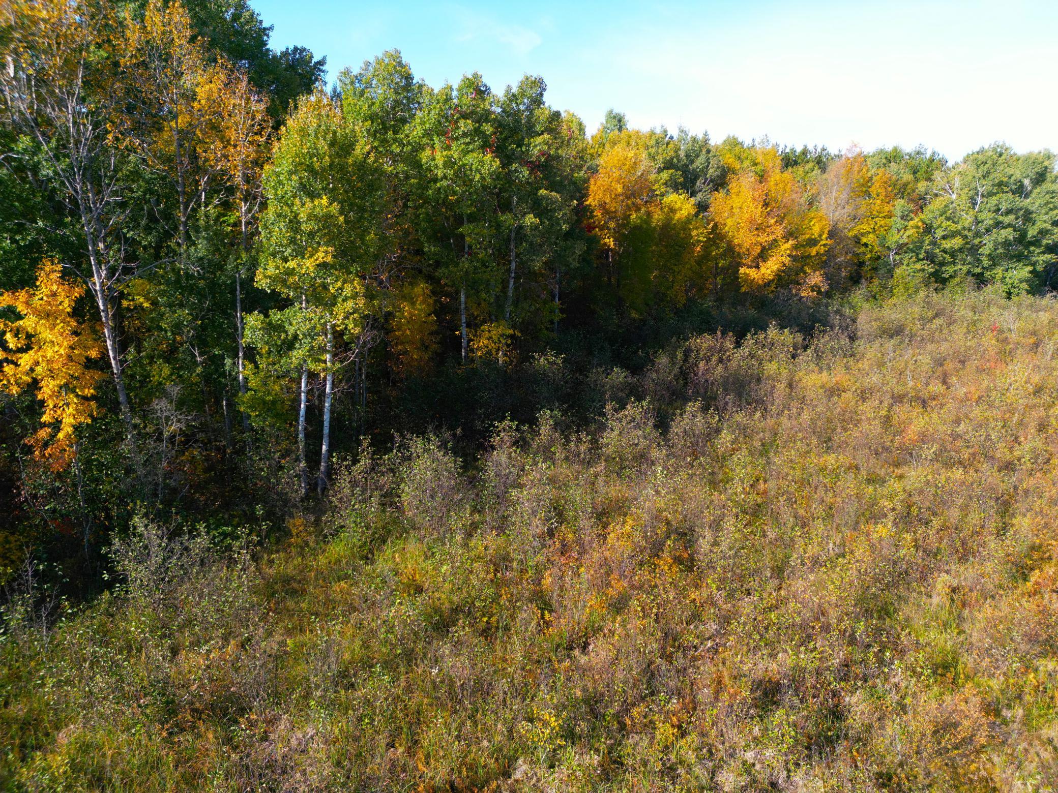 land for sale at XXX 540th Lane in Palisade, MN (photo 52 of 55)