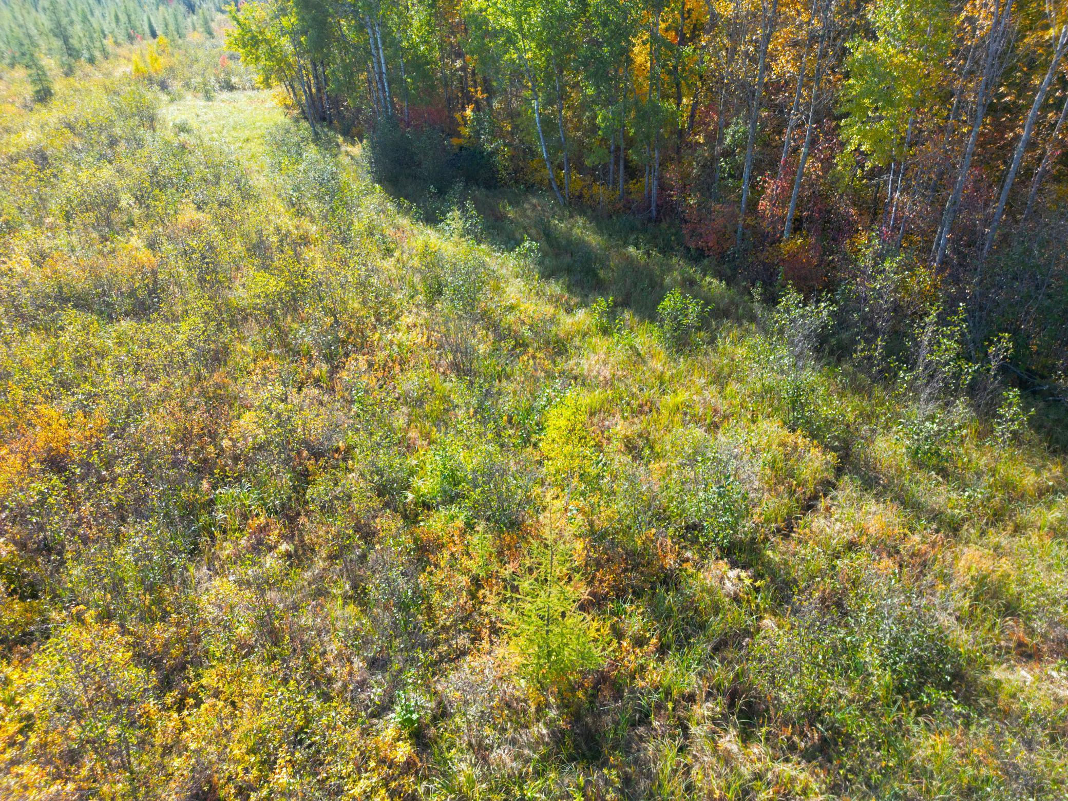 land for sale at XXX 540th Lane in Palisade, MN (photo 54 of 55)