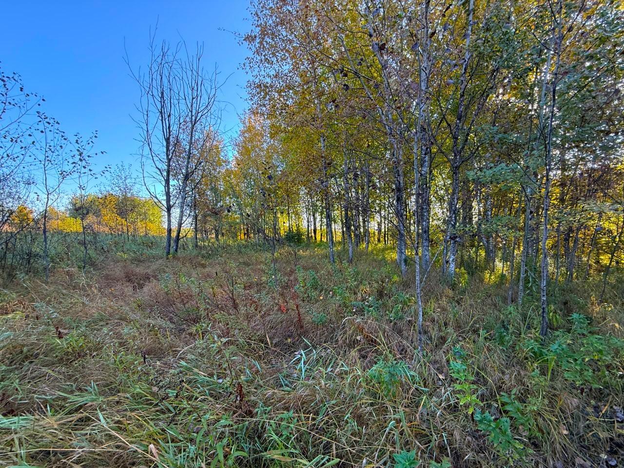 land for sale at XXX 540th Lane in Palisade, MN (photo 7 of 55)