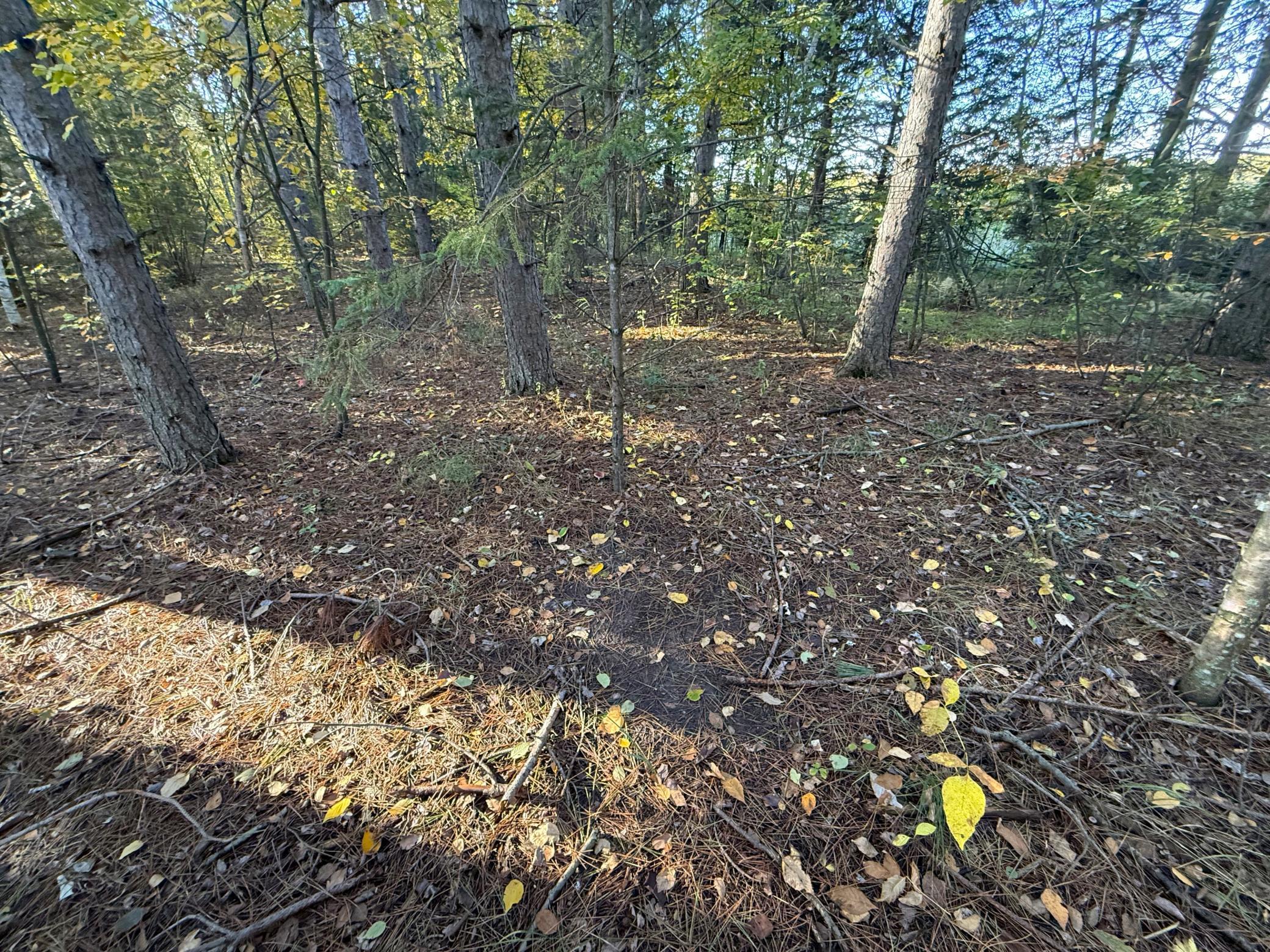 land for sale at XXX 540th Lane in Palisade, MN (photo 10 of 55)