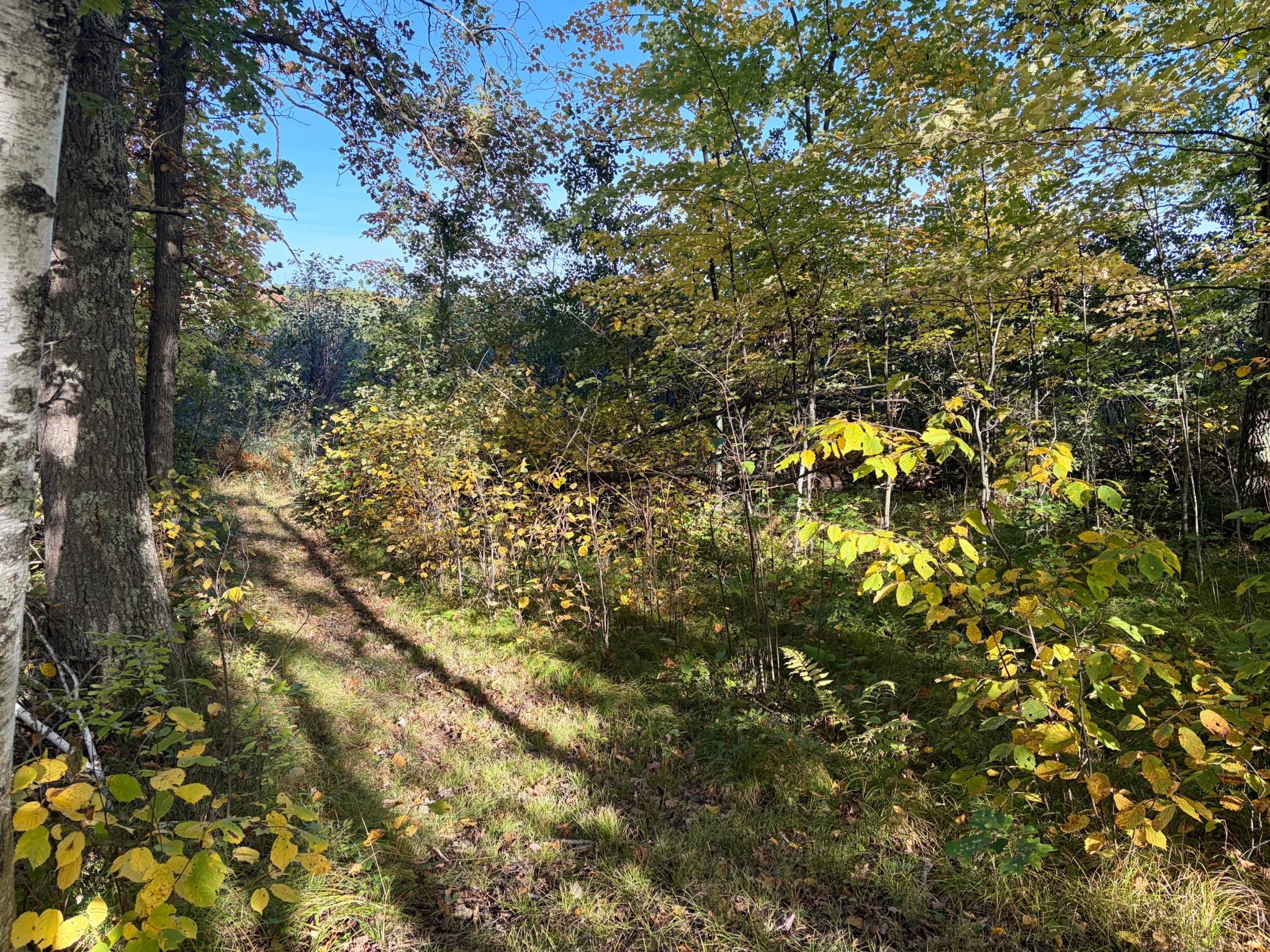 land for sale at TBD 248th Place in McGregor, MN