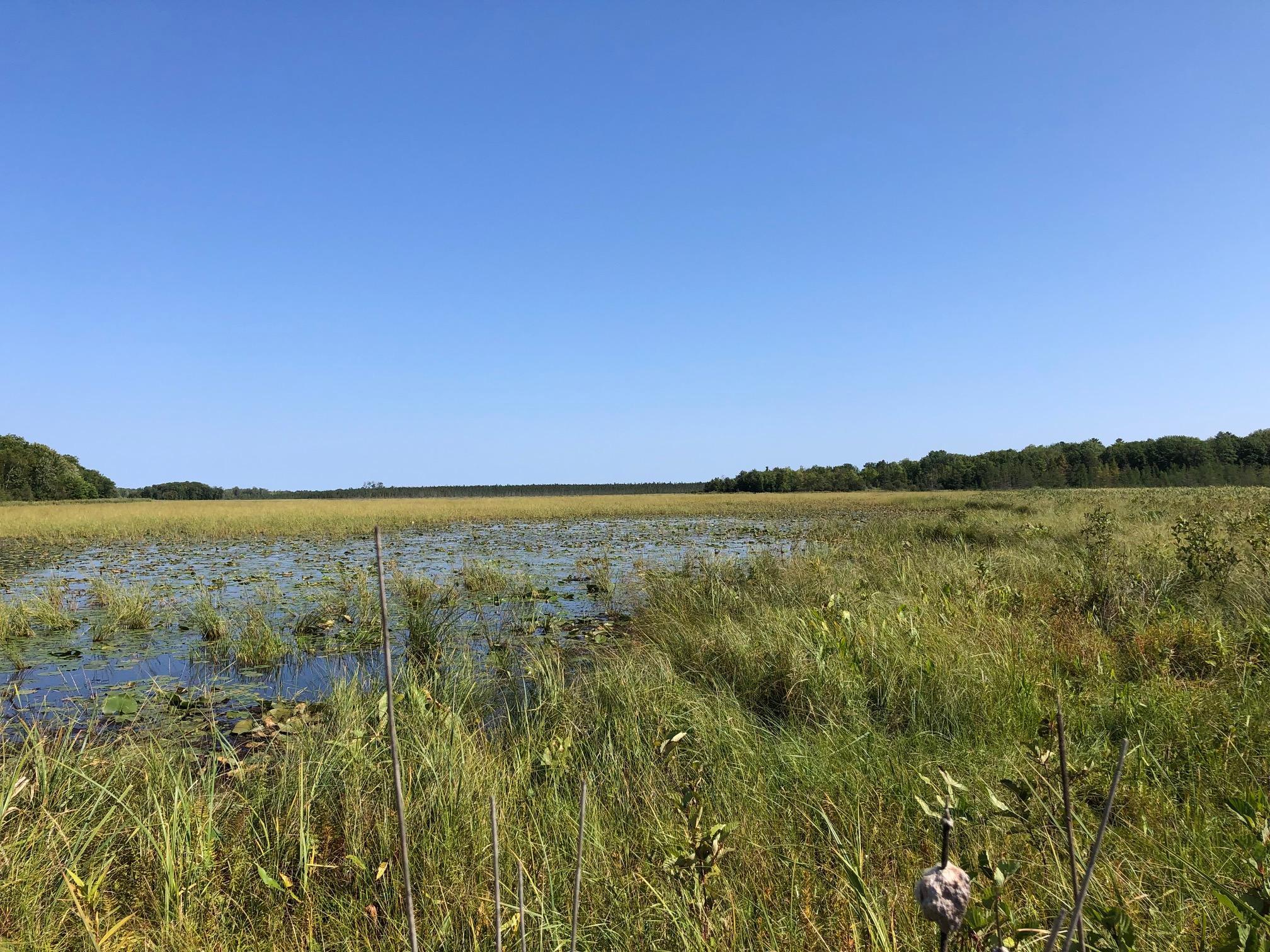 land for sale at TBD 248th Place in McGregor, MN (photo 2 of 19)