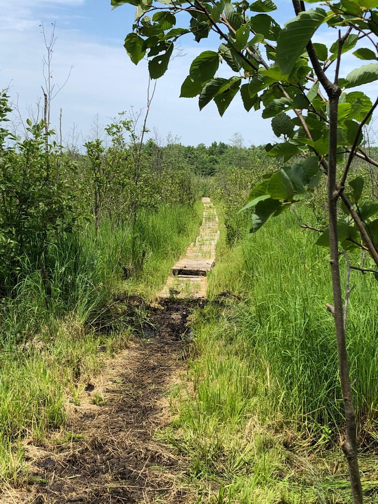 land for sale at TBD 248th Place in McGregor, MN (photo 12 of 19)