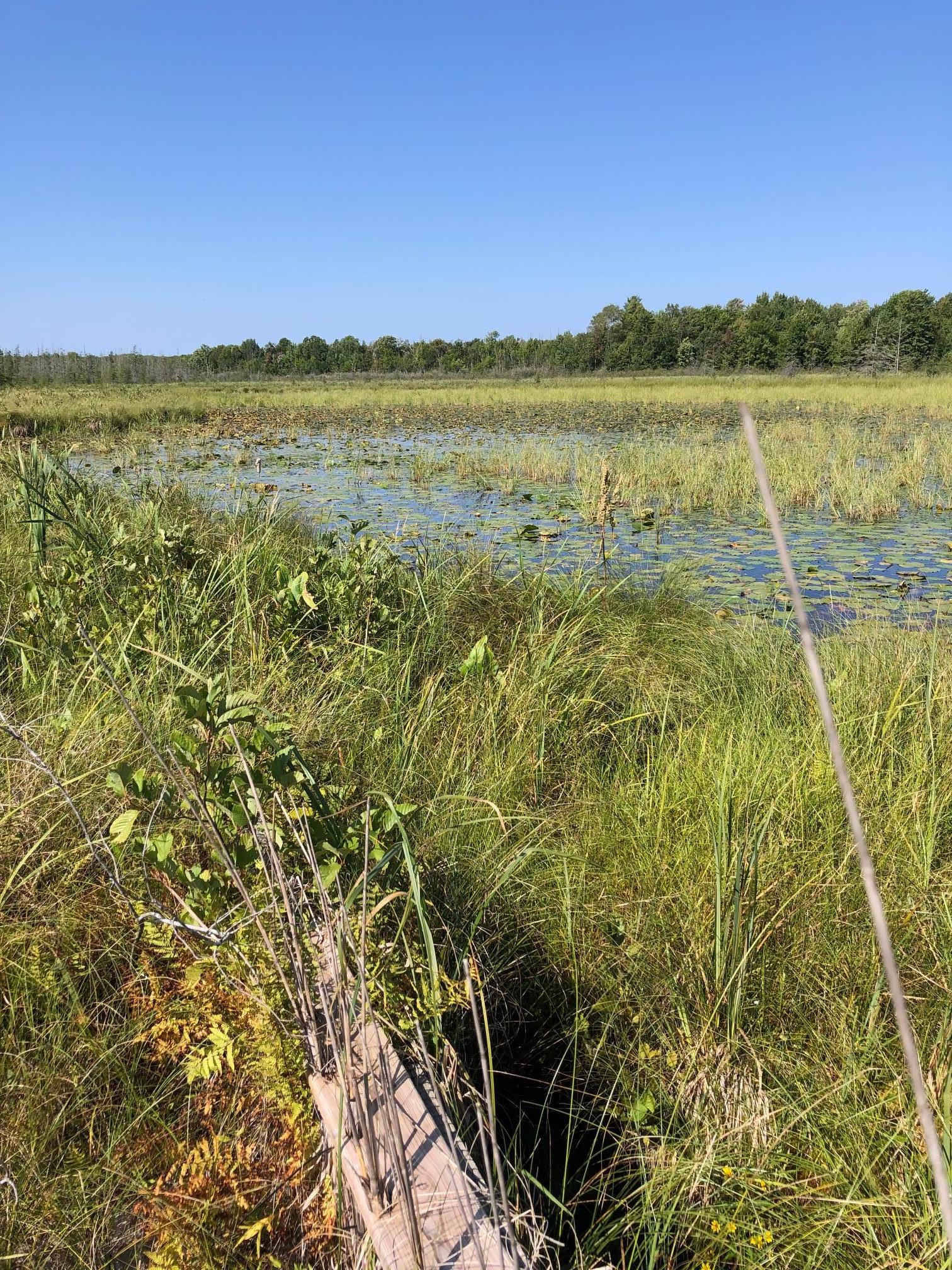 land for sale at TBD 248th Place in McGregor, MN (photo 16 of 19)