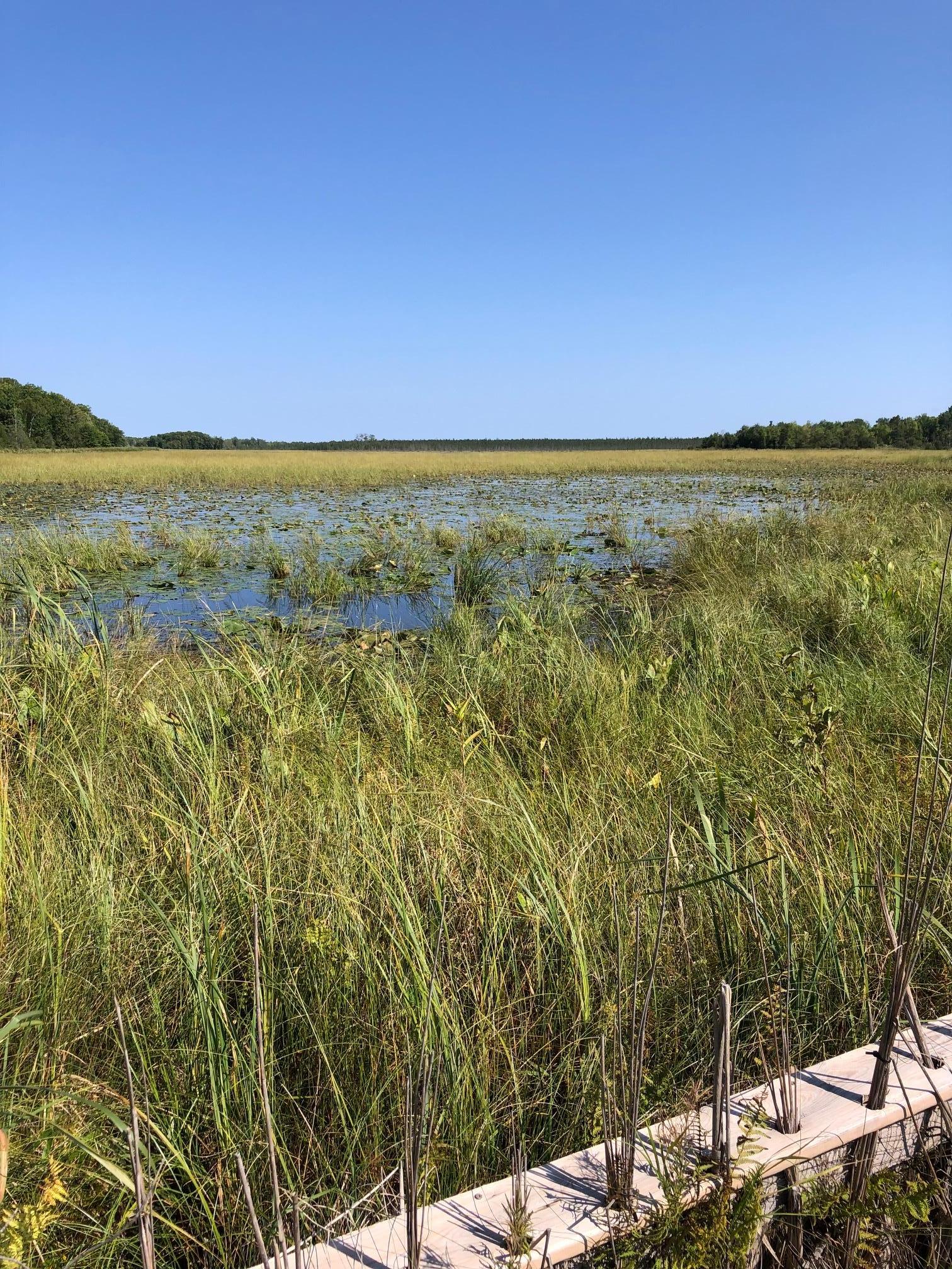 land for sale at TBD 248th Place in McGregor, MN (photo 17 of 19)