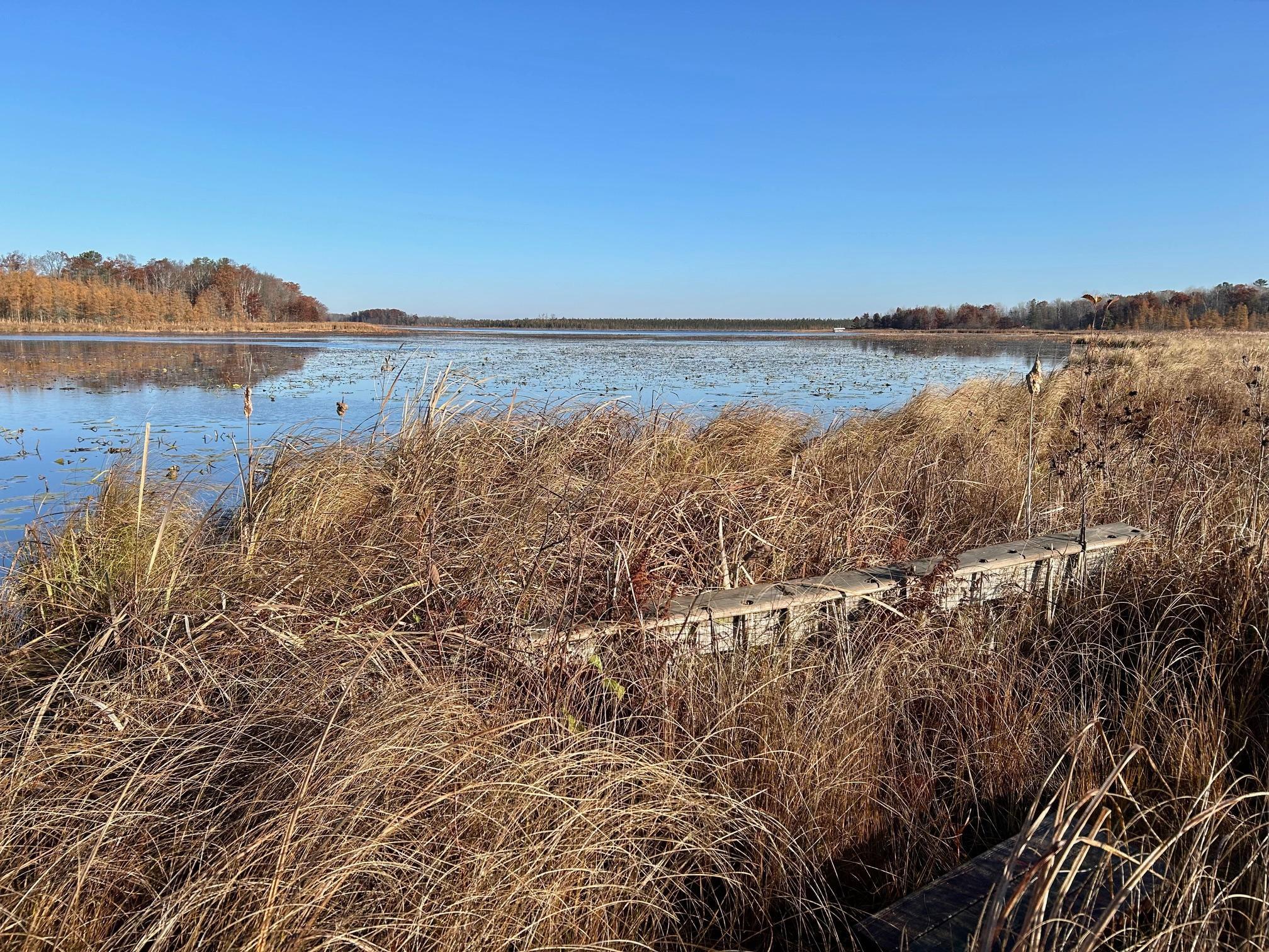 land for sale at TBD 248th Place in McGregor, MN (photo 18 of 19)