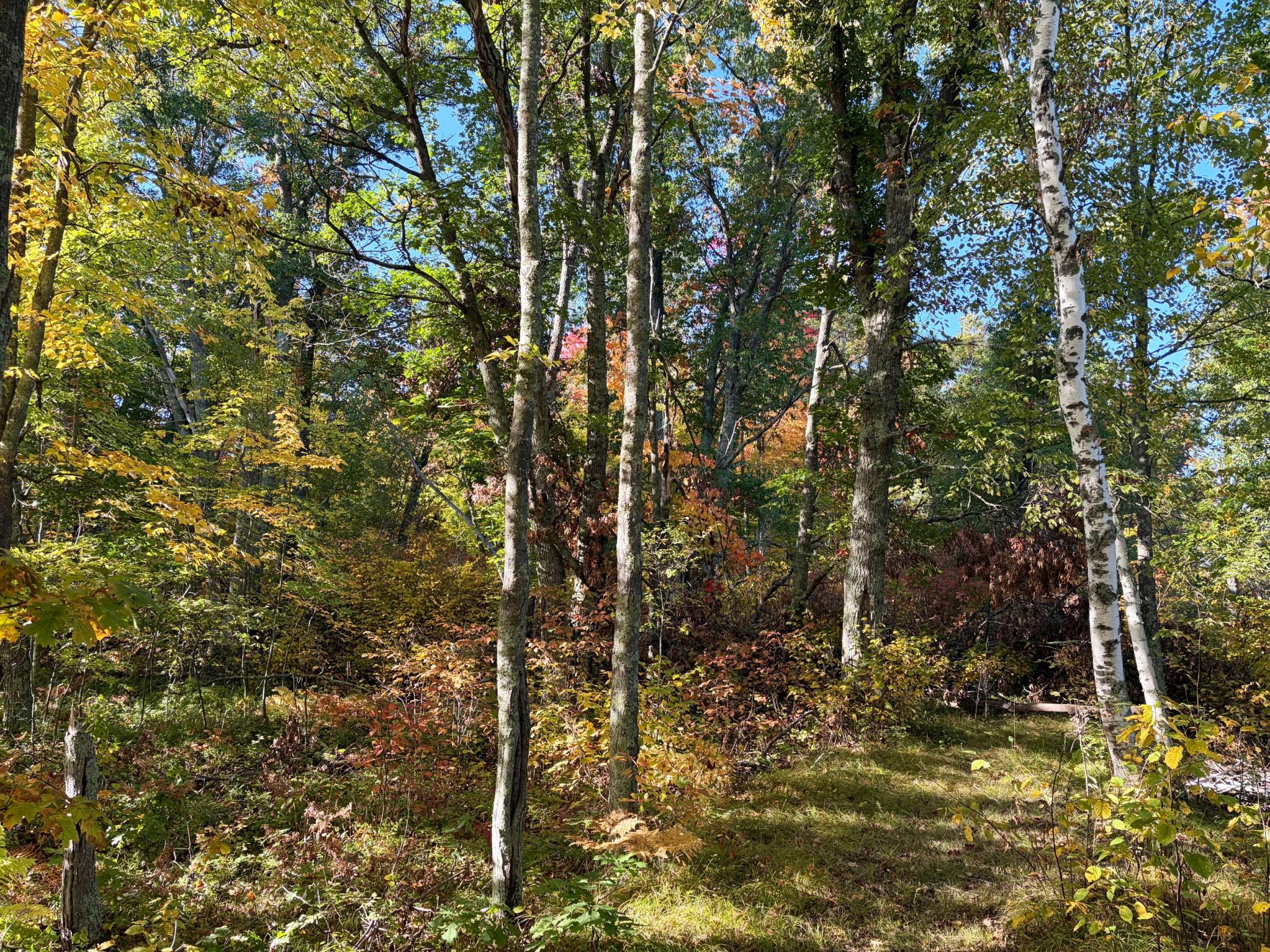 land for sale at TBD 248th Place in McGregor, MN (photo 9 of 19)
