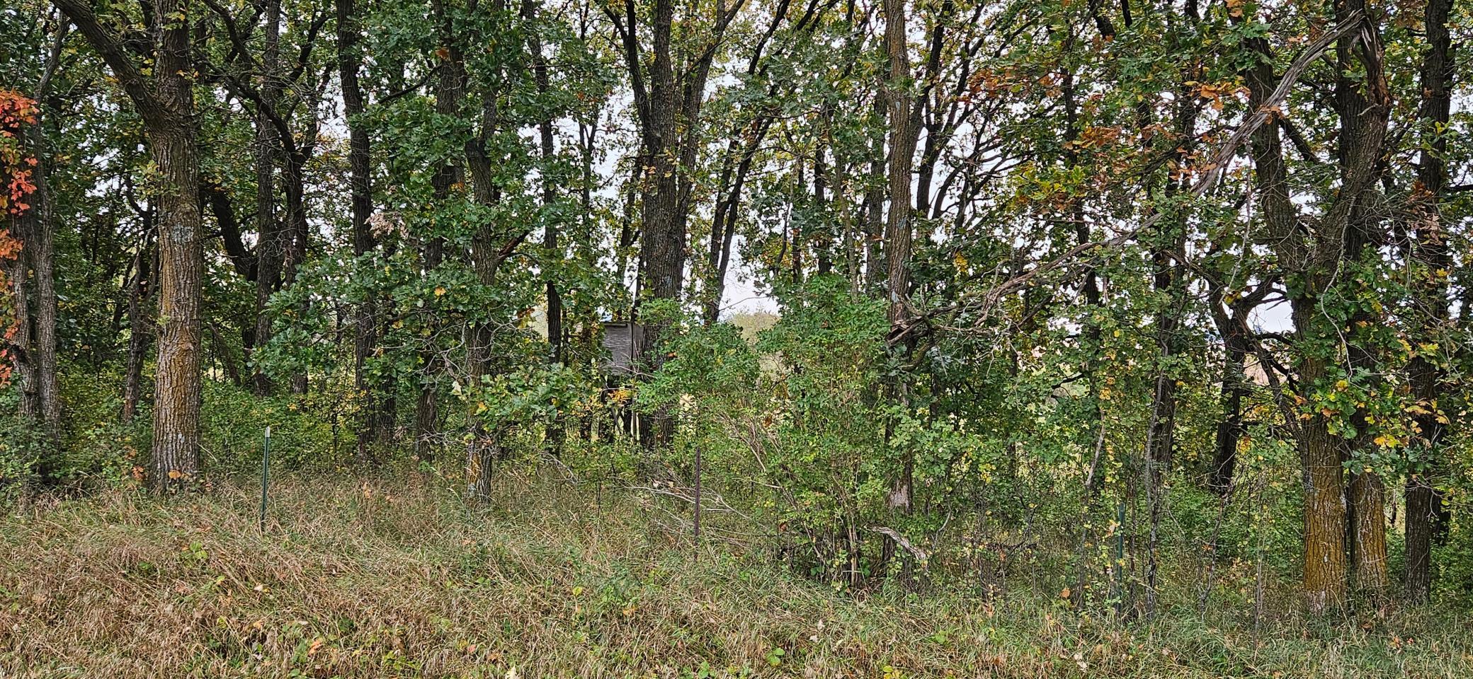 land for sale at tbd County Highway 127 in Ottertail, MN (photo 3 of 7)