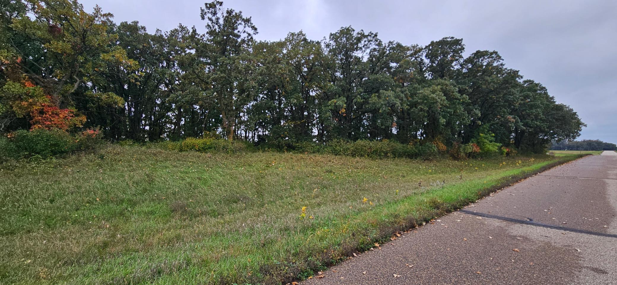 land for sale at tbd County Highway 127 in Ottertail, MN (photo 4 of 7)