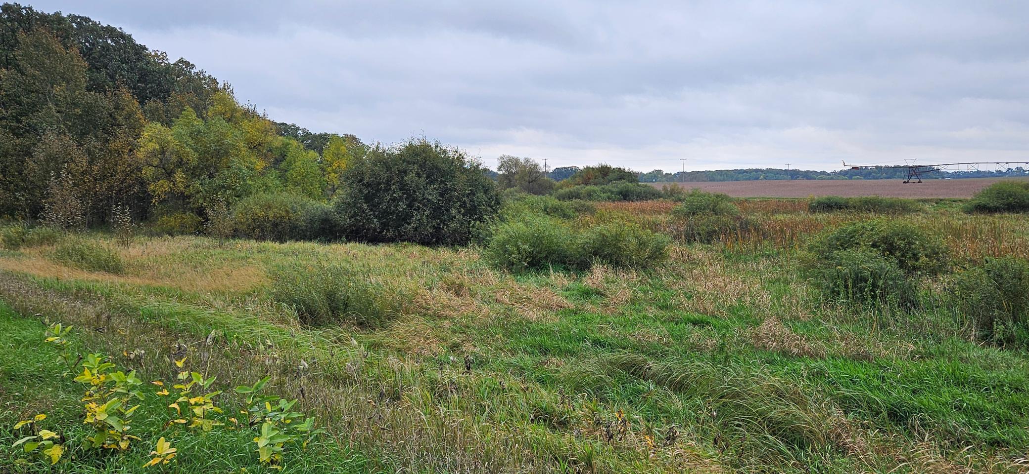 land for sale at tbd County Highway 127 in Ottertail, MN (photo 7 of 7)