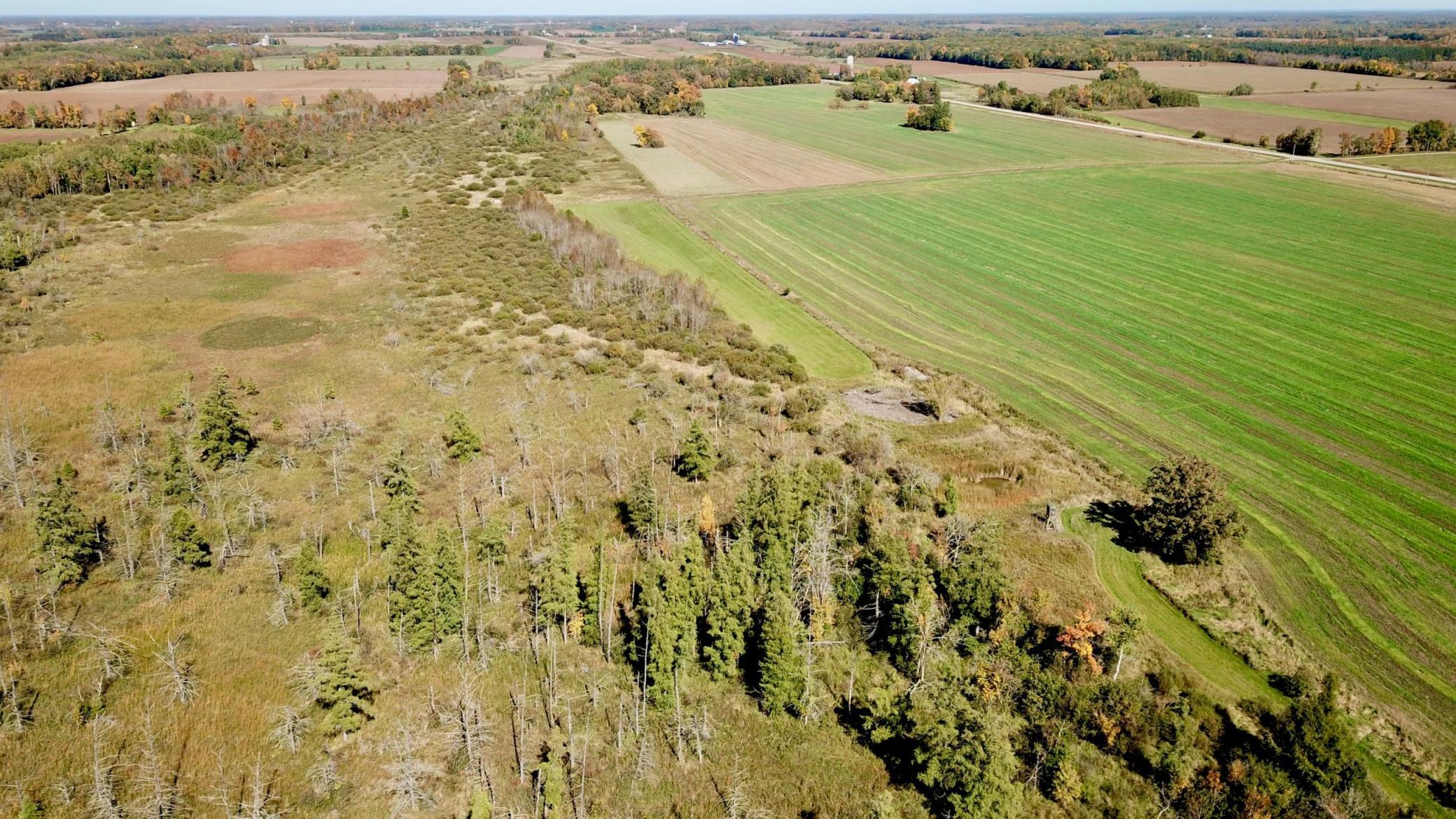 land for sale at 40939 Cr-75 in Bertha, MN