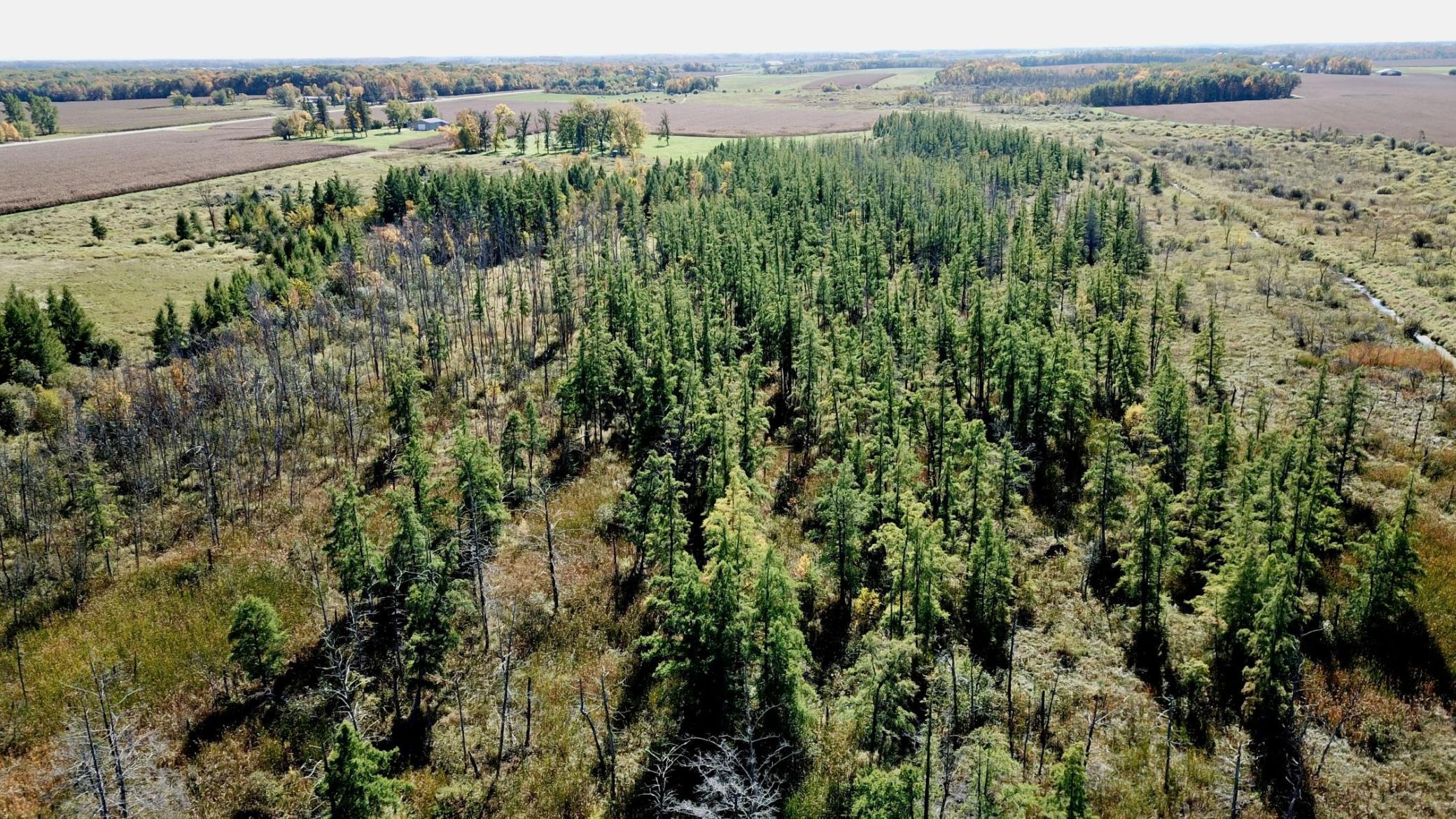 land for sale at 40939 Cr-75 in Bertha, MN (photo 2 of 12)