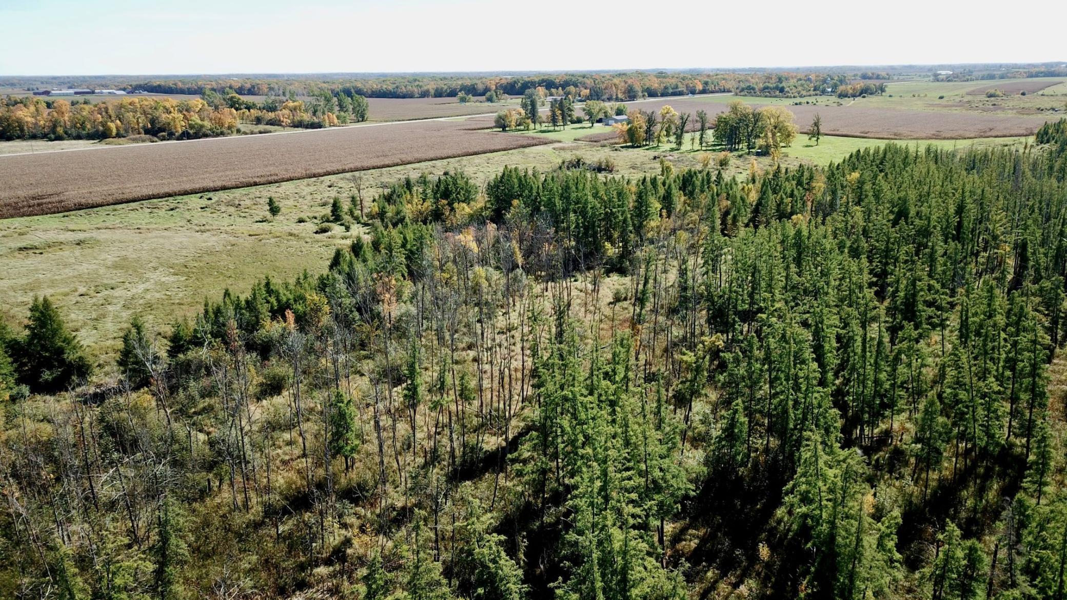 land for sale at 40939 Cr-75 in Bertha, MN (photo 3 of 12)