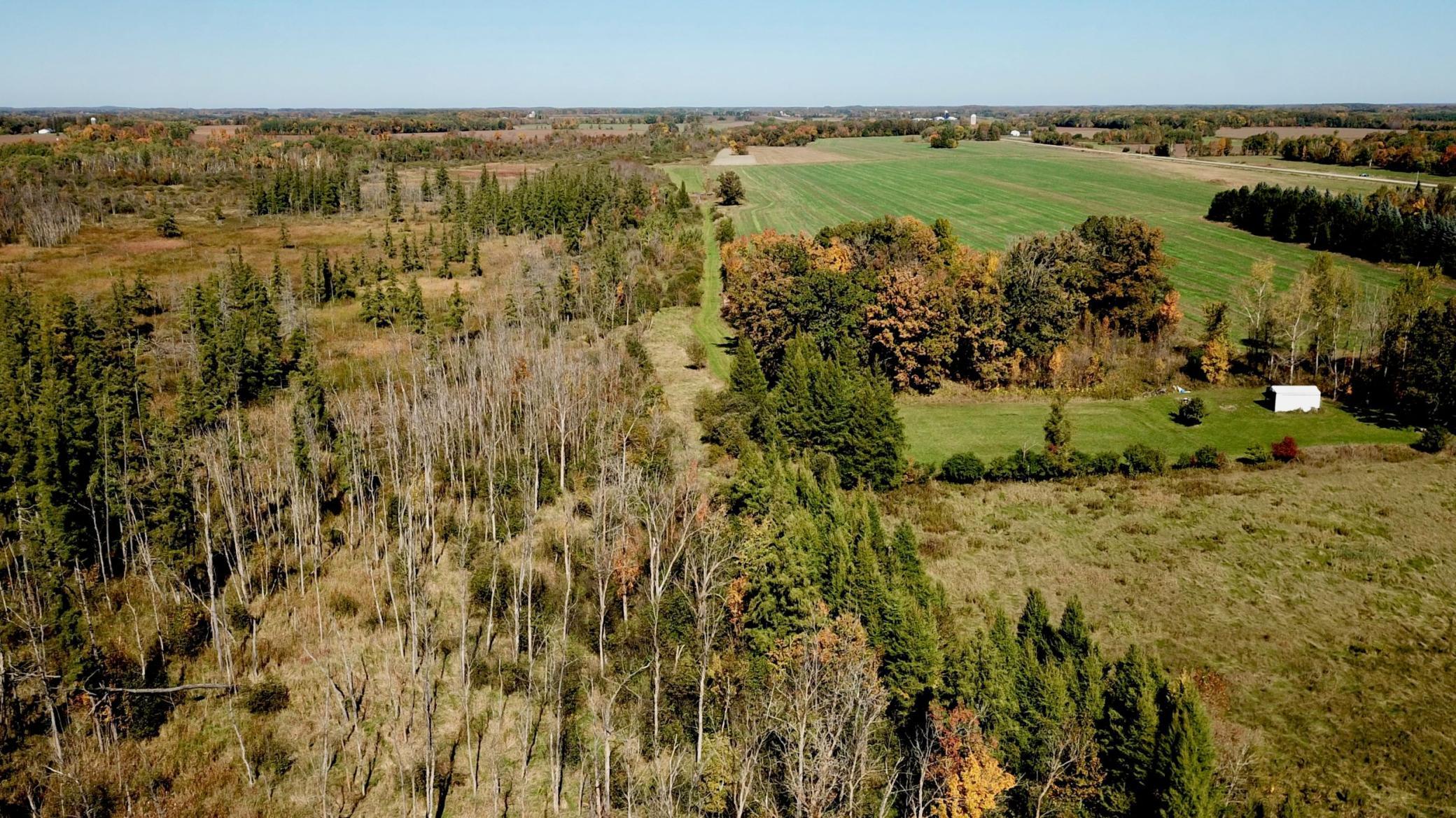 land for sale at 40939 Cr-75 in Bertha, MN (photo 4 of 12)