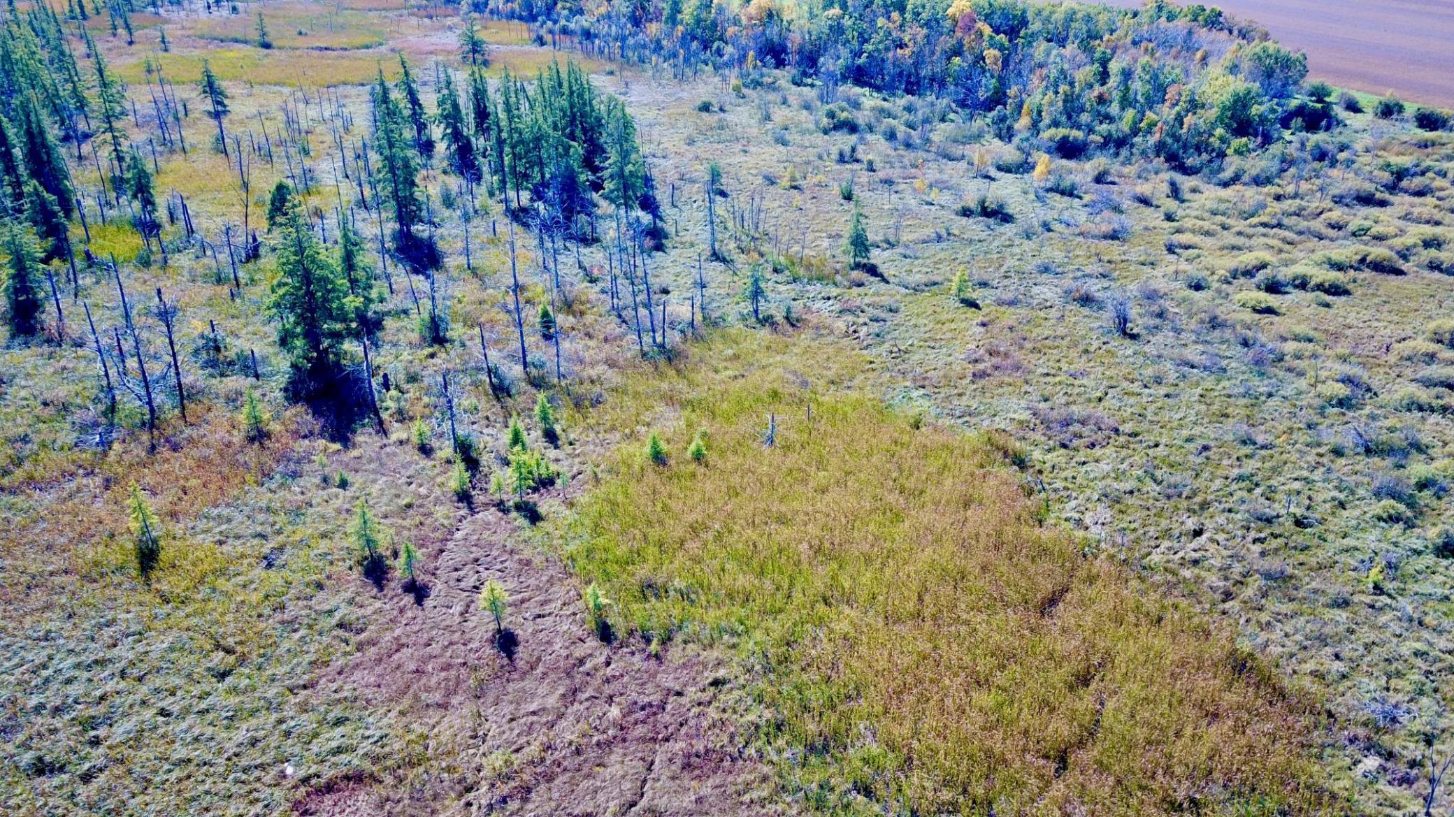 land for sale at 40939 Cr-75 in Bertha, MN (photo 7 of 12)