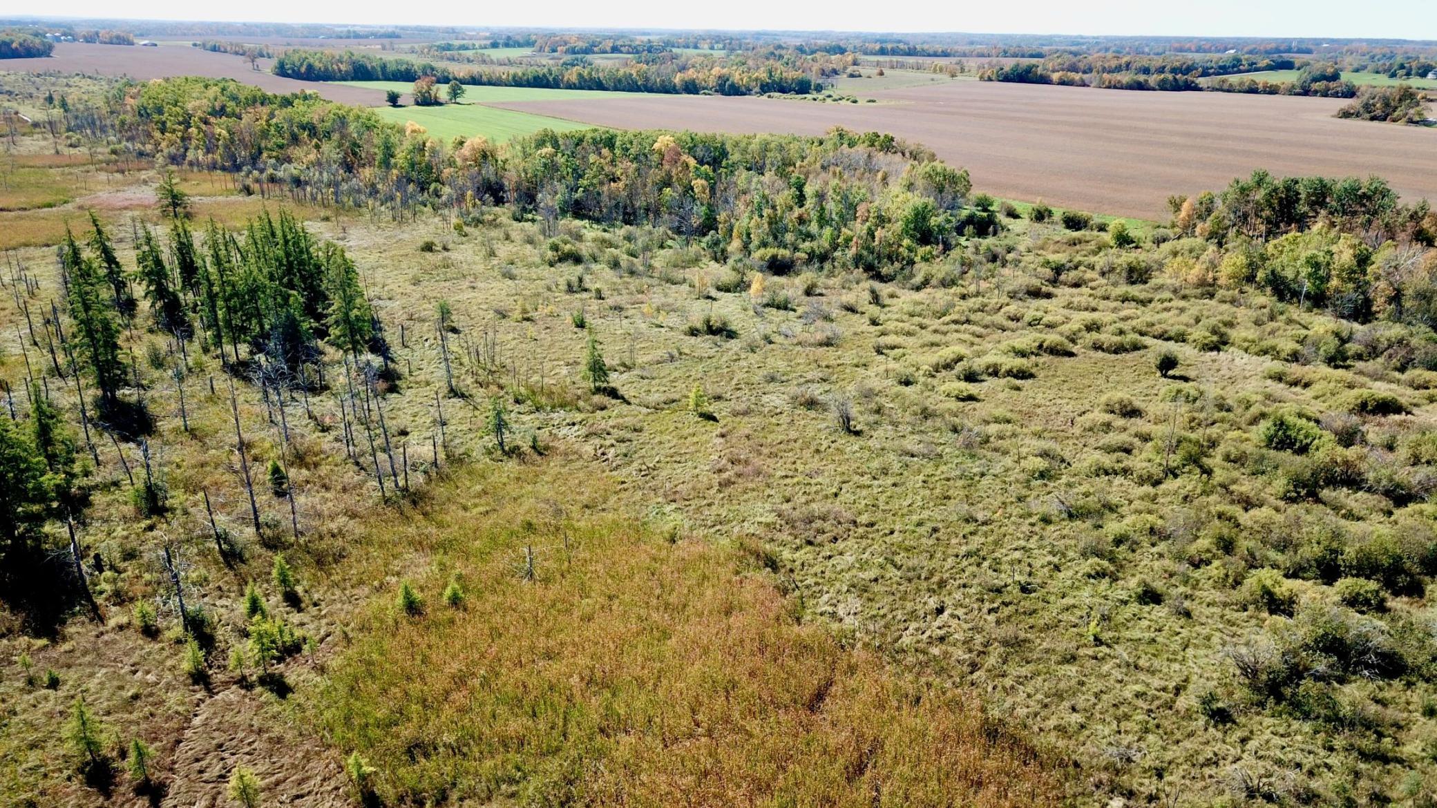 land for sale at 40939 Cr-75 in Bertha, MN (photo 8 of 12)