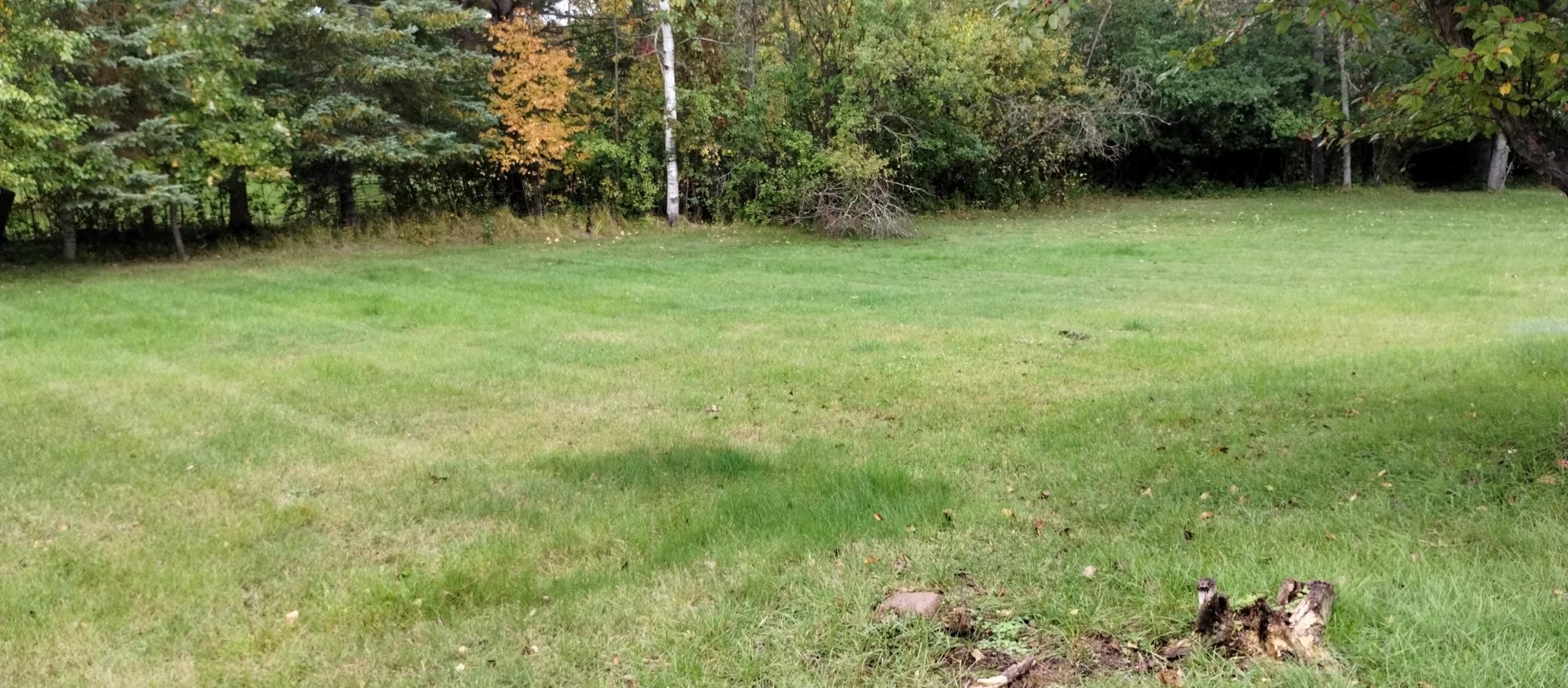 1950 single family home for sale at 208 Pine Avenue NW in Bagley, MN — 3 bed, 1 bath (photo 7 of 31)