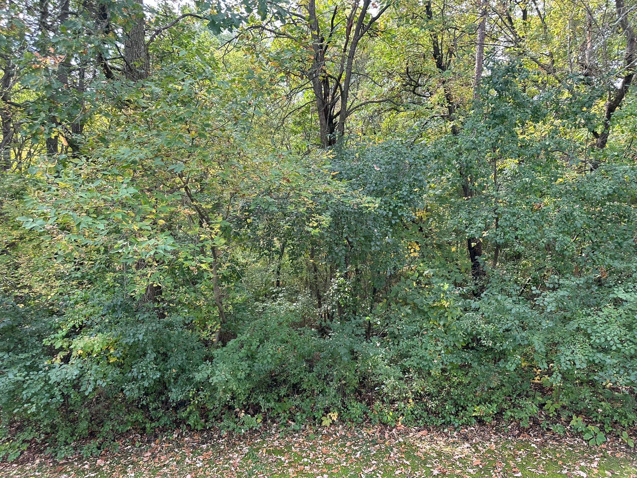 2001 twin home for sale at 806 Pine Street, Unit 5 in Park Rapids, MN — 3 bed, 3 bath (photo 41 of 41)
