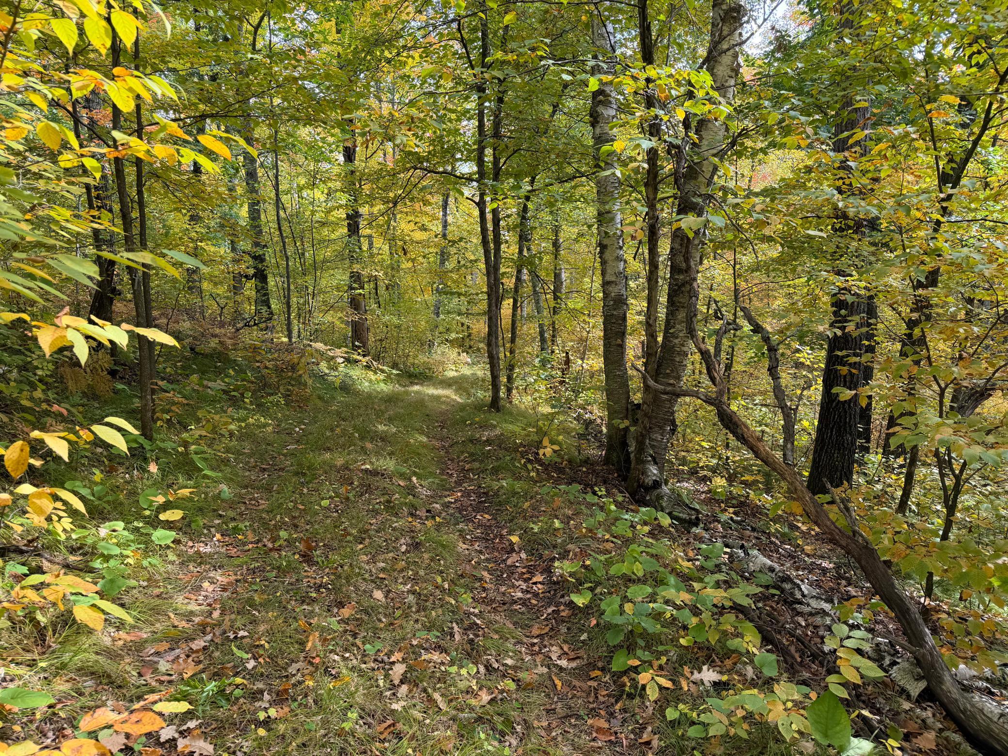 land for sale at 4558 Angelas Drive in Pine River, MN (photo 13 of 88)