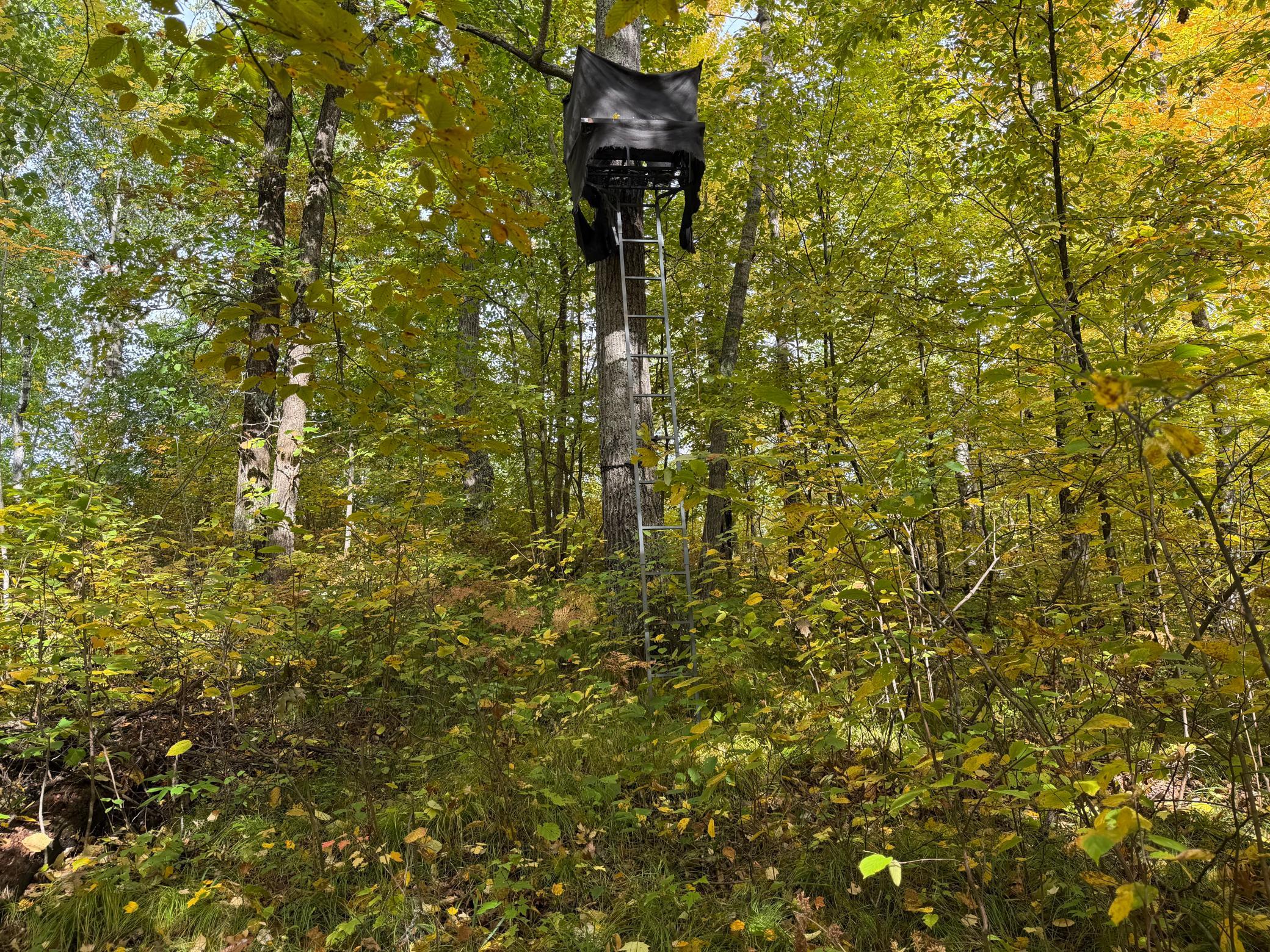 land for sale at 4558 Angelas Drive in Pine River, MN (photo 15 of 88)
