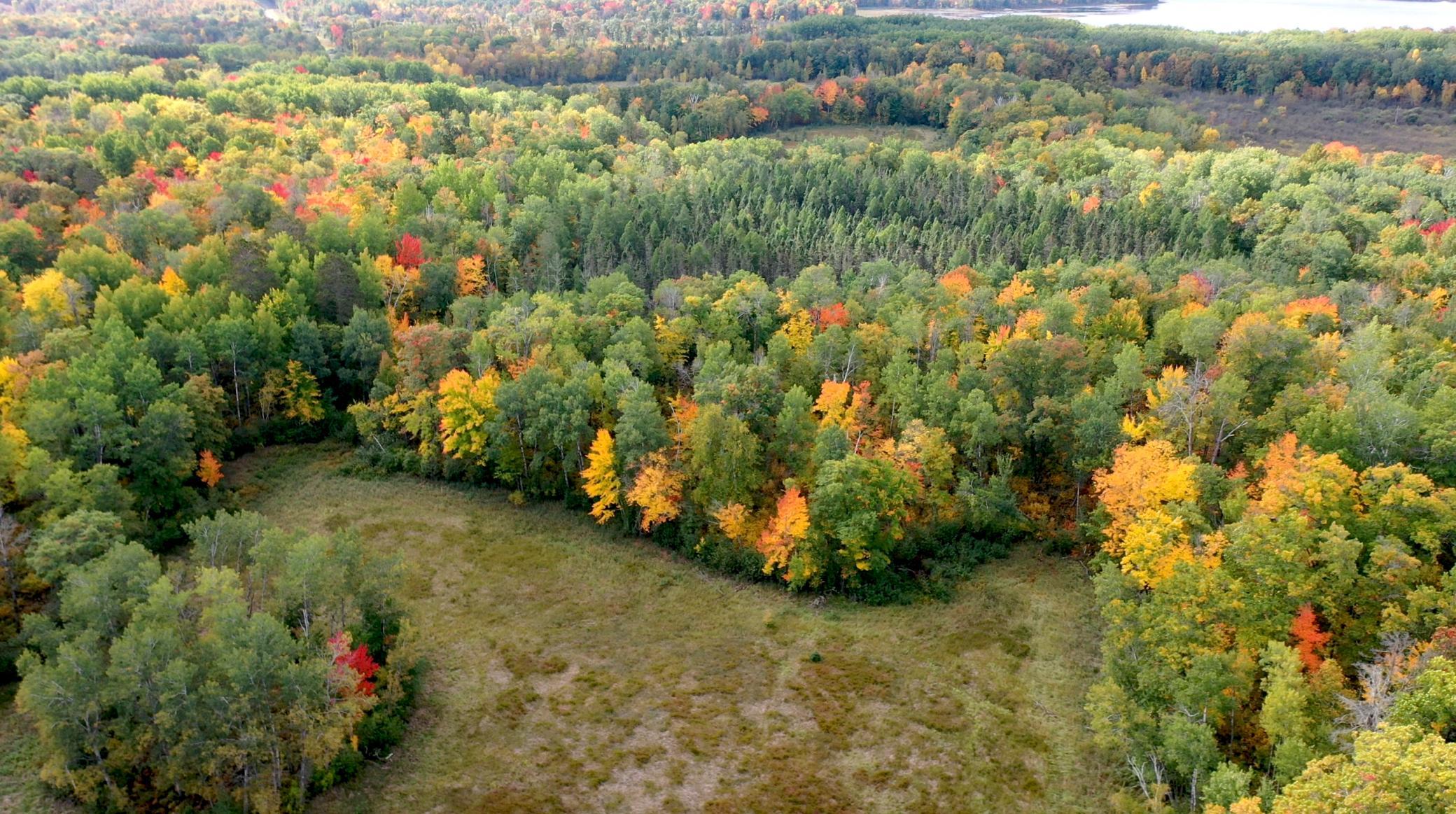 land for sale at 4558 Angelas Drive in Pine River, MN (photo 20 of 88)