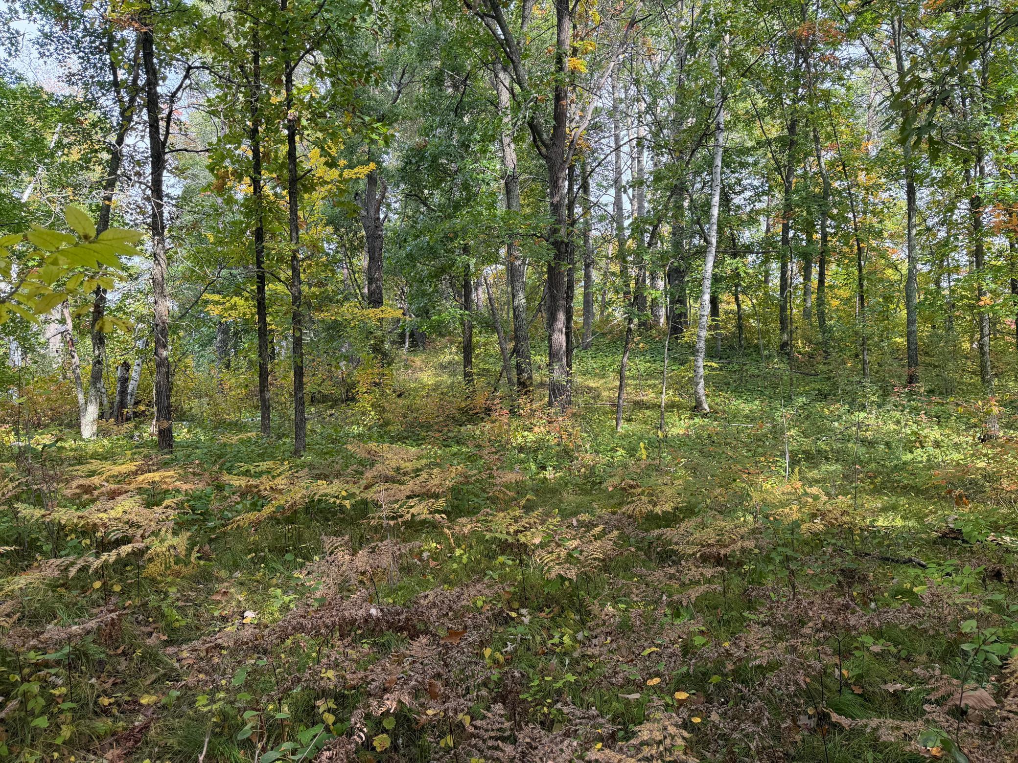 land for sale at 4558 Angelas Drive in Pine River, MN (photo 26 of 88)
